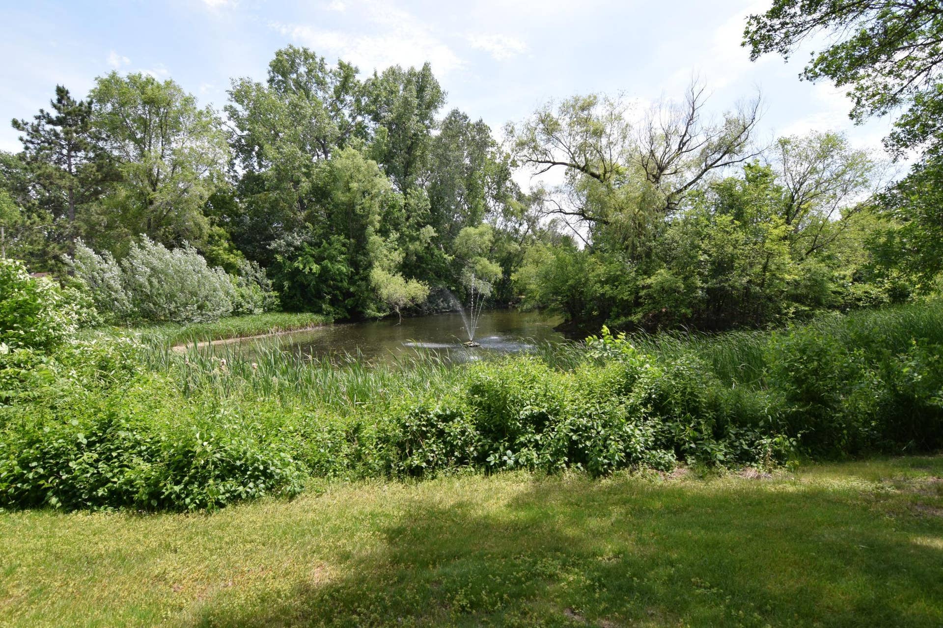 9600 Portland Avenue S, #205, Bloomington, MN 55420 DSC_0132.JPG