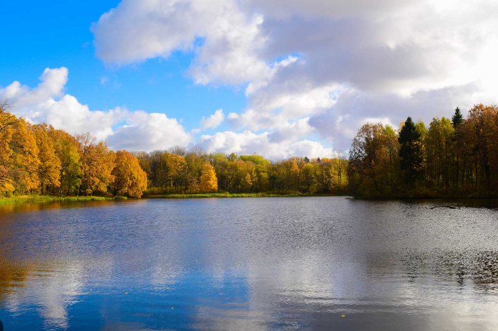 10948 Lower 37th St Court N, Lake Elmo, MN 55042 Sunfish Lake Park - Heritage Park, Sunfish Lake Park and other green spaces give residents easy access to nature, quiet walks, wildlife watching and seasonal recreation.PNG