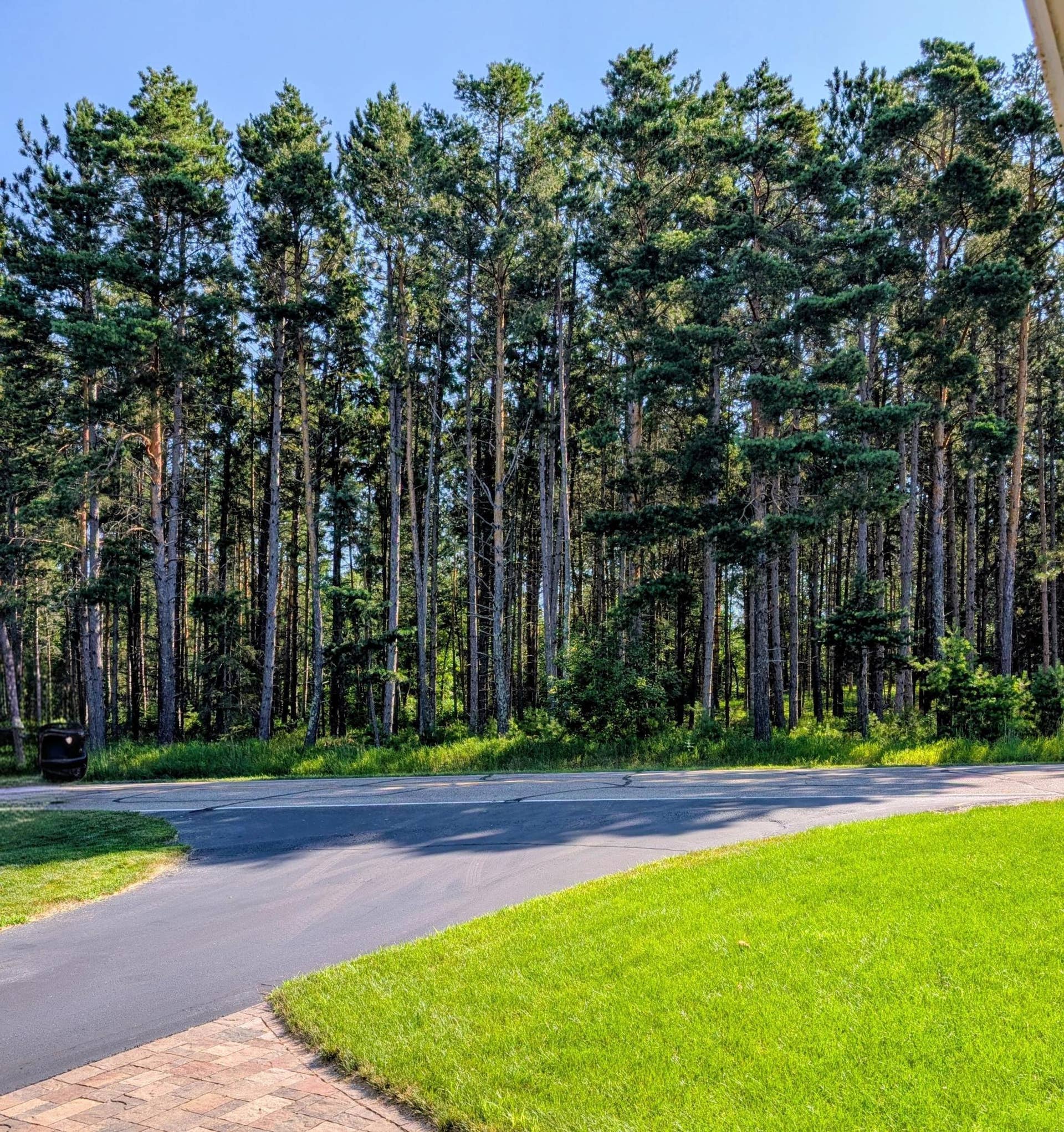 5625 Lavinia Road NE, Bemidji, MN 56601 Acres of trees line the road