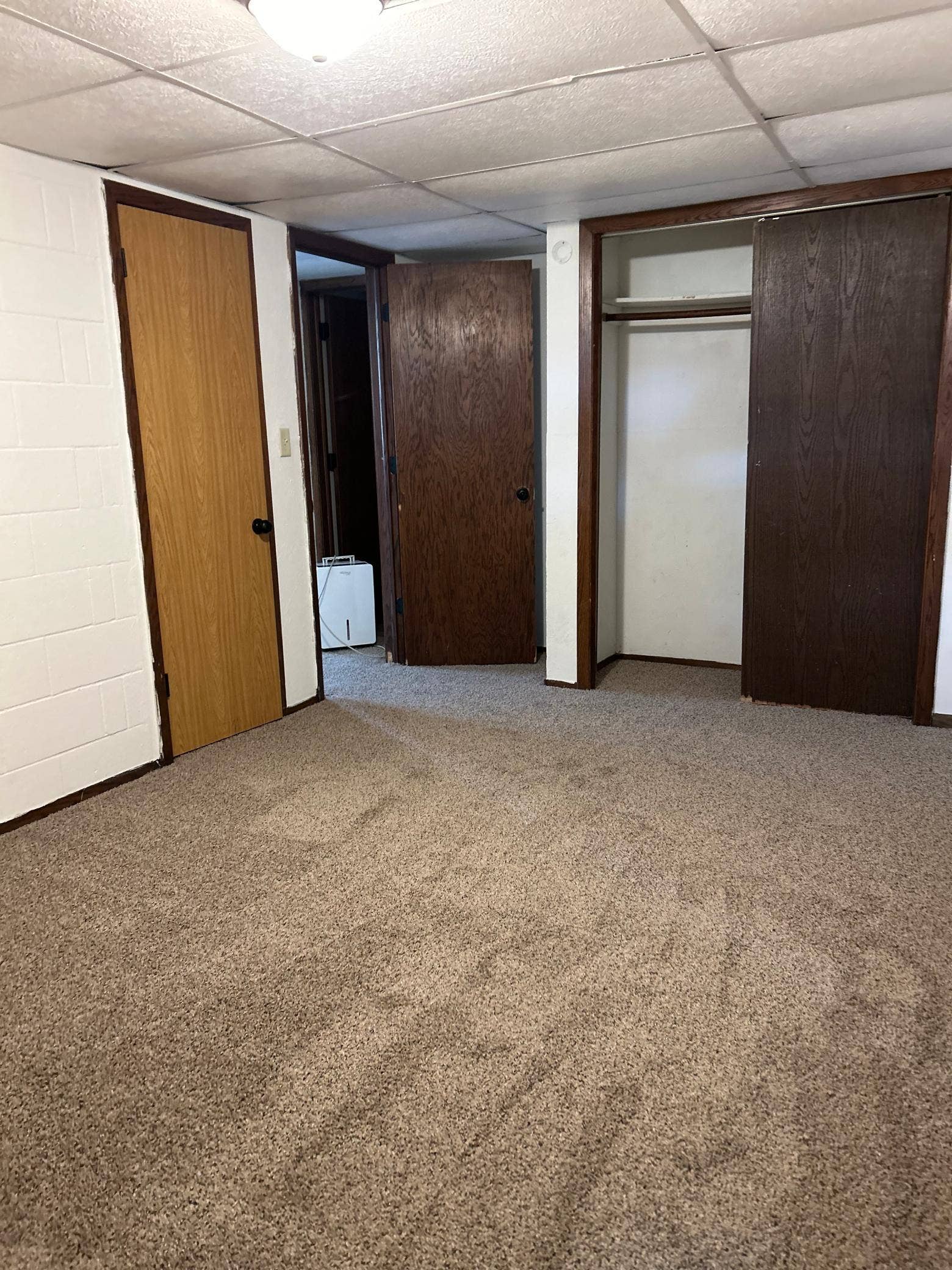 911 2nd Avenue S, Buffalo, MN 55313 IMG_7993.jpg
