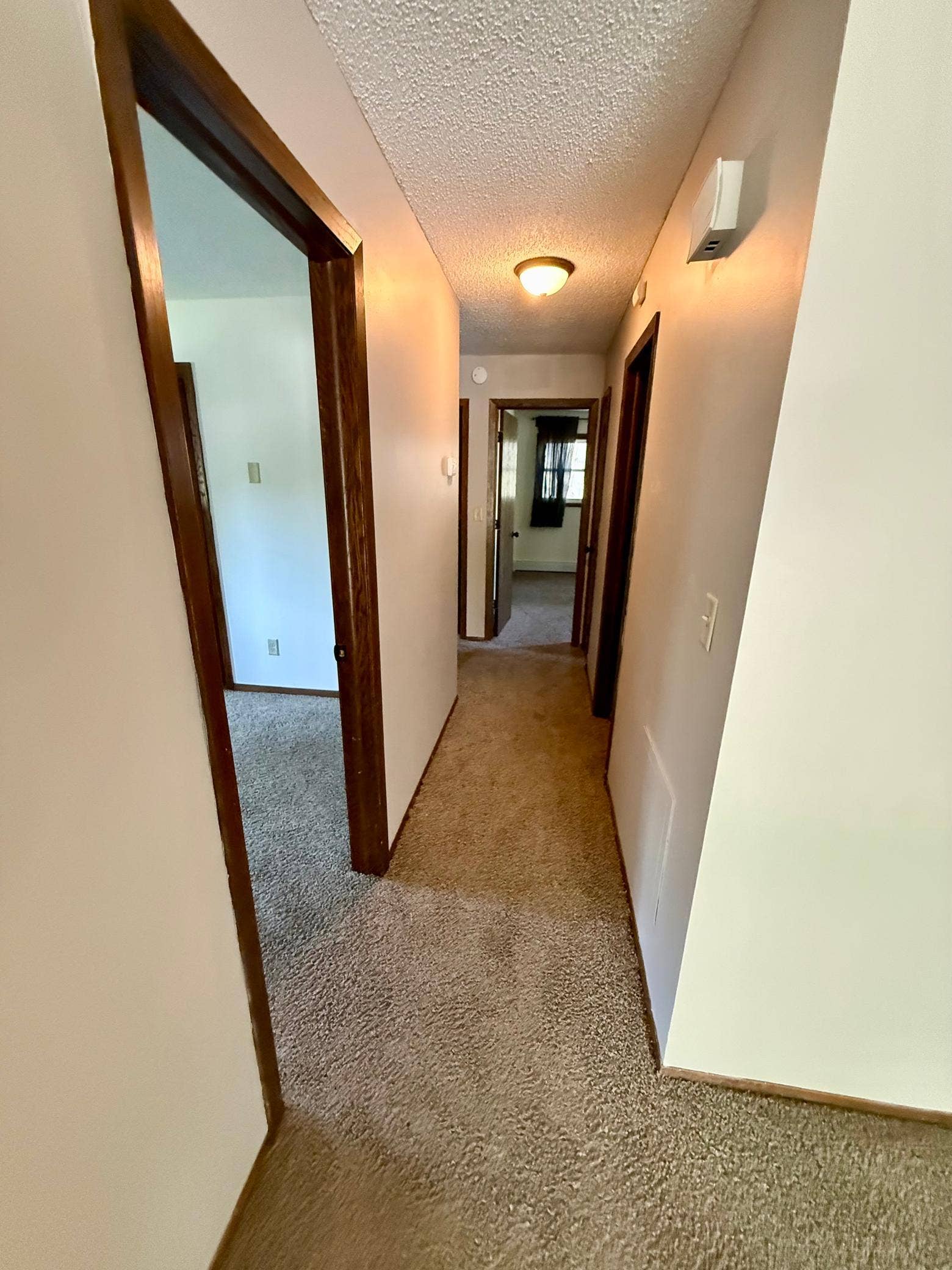 911 2nd Avenue S, Buffalo, MN 55313 Upper hallway.jpg