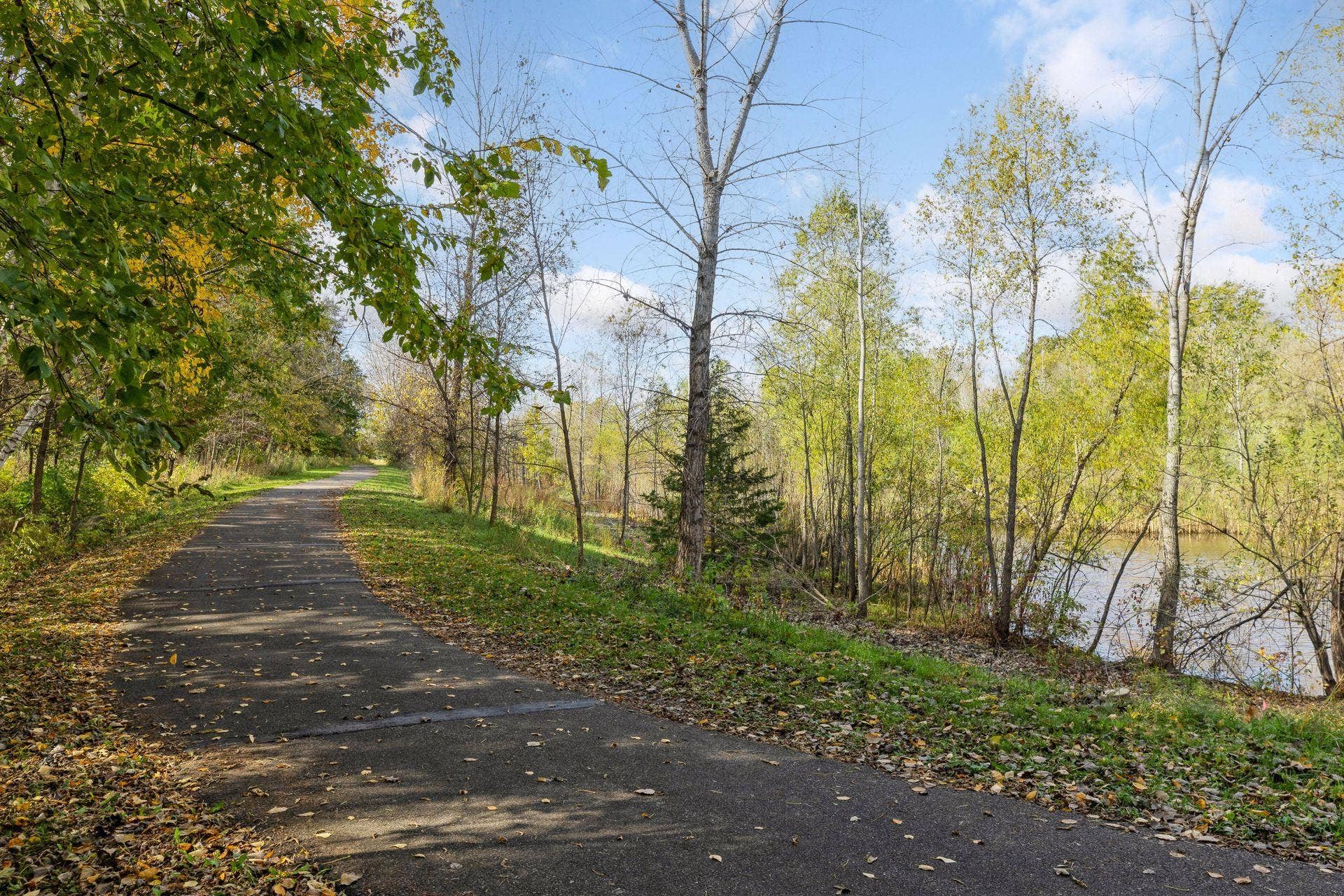 10964 Bentwater Lane, Woodbury, MN 55129 Photo-127.jpg