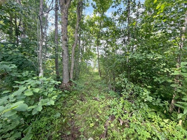15215 Werner Road NW, Bemidji, MN 56601 Trail to Lake