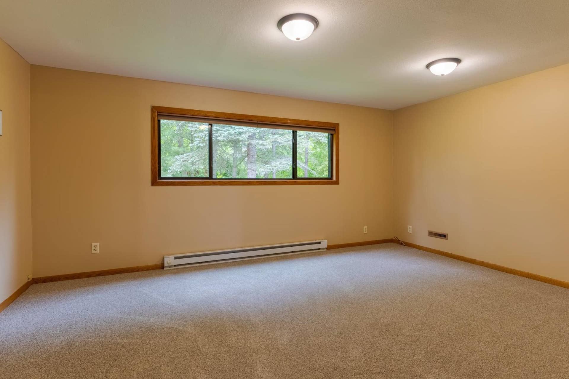 51892 Wildflower Drive, Bemidji, MN 56601 Primary Bedroom.jpeg