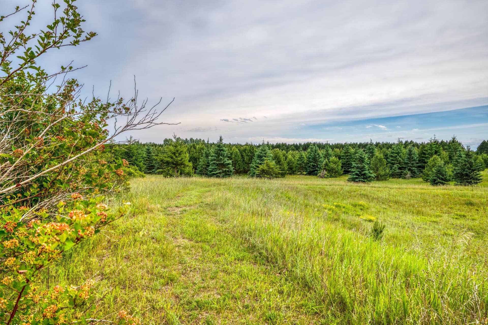 1320 Whiting Road NW, #39, Bemidji, MN 56601 1320 Whiting Road NW, #39, Bemidji, MN 56601