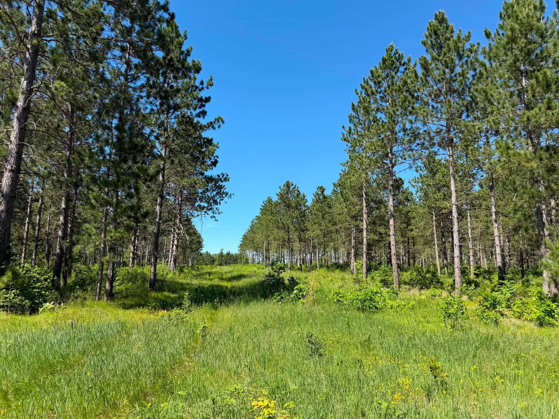 10998 Grange Road NW, Bemidji, MN 56601 724639399_1537570097748964_5987317338978626301_n.jpg