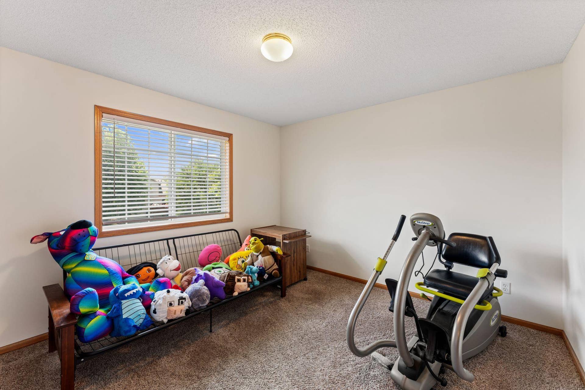 3309 Carnation Avenue N, Brooklyn Park, MN 55443 24_20.jpg