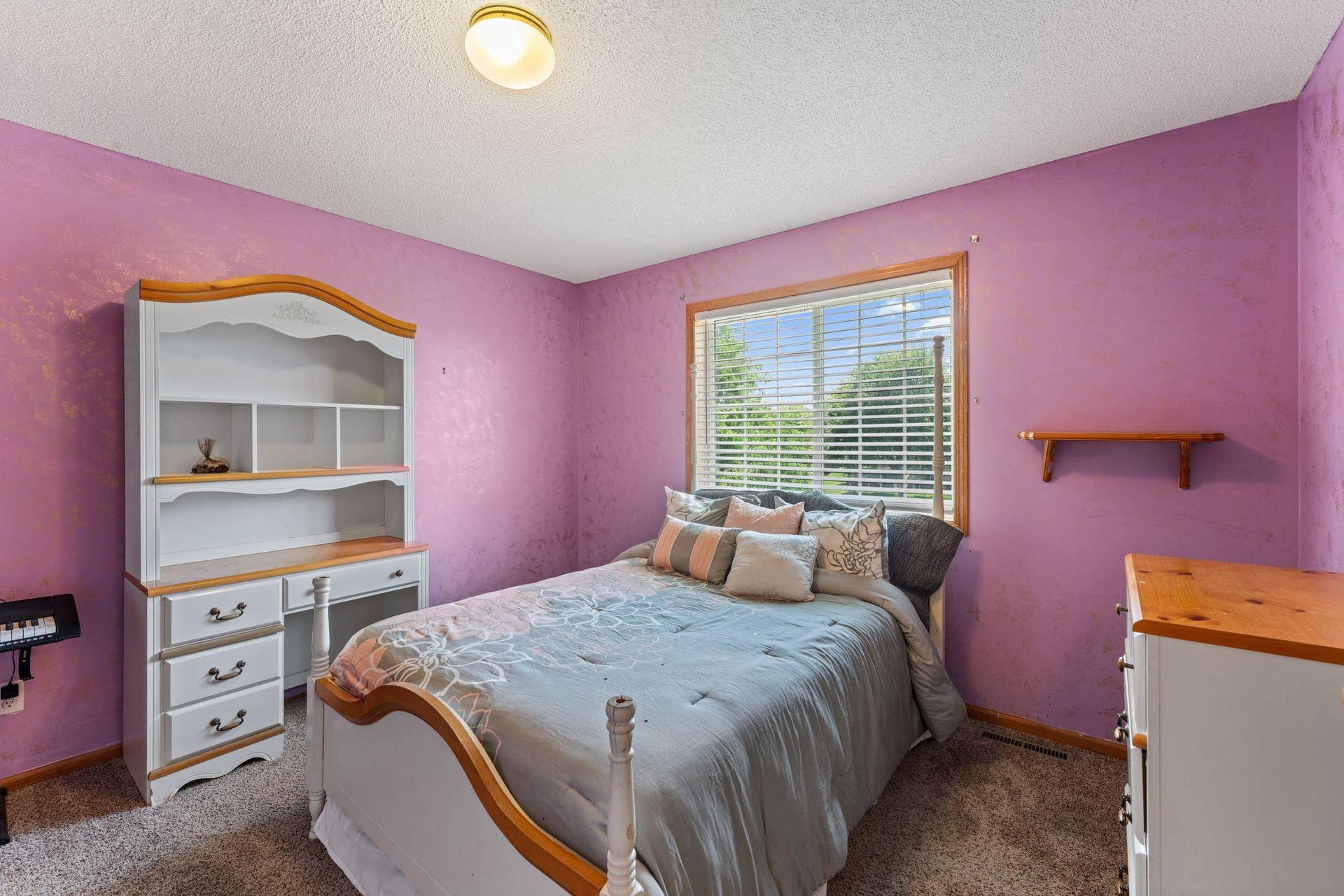 3309 Carnation Avenue N, Brooklyn Park, MN 55443 22_18.jpg