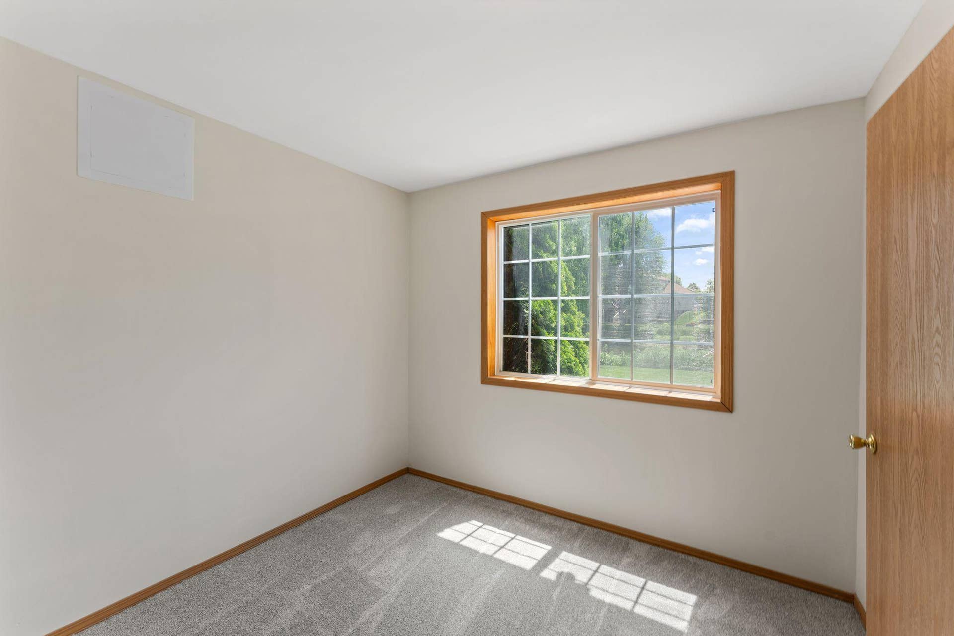 3309 Carnation Avenue N, Brooklyn Park, MN 55443 32_28.jpg