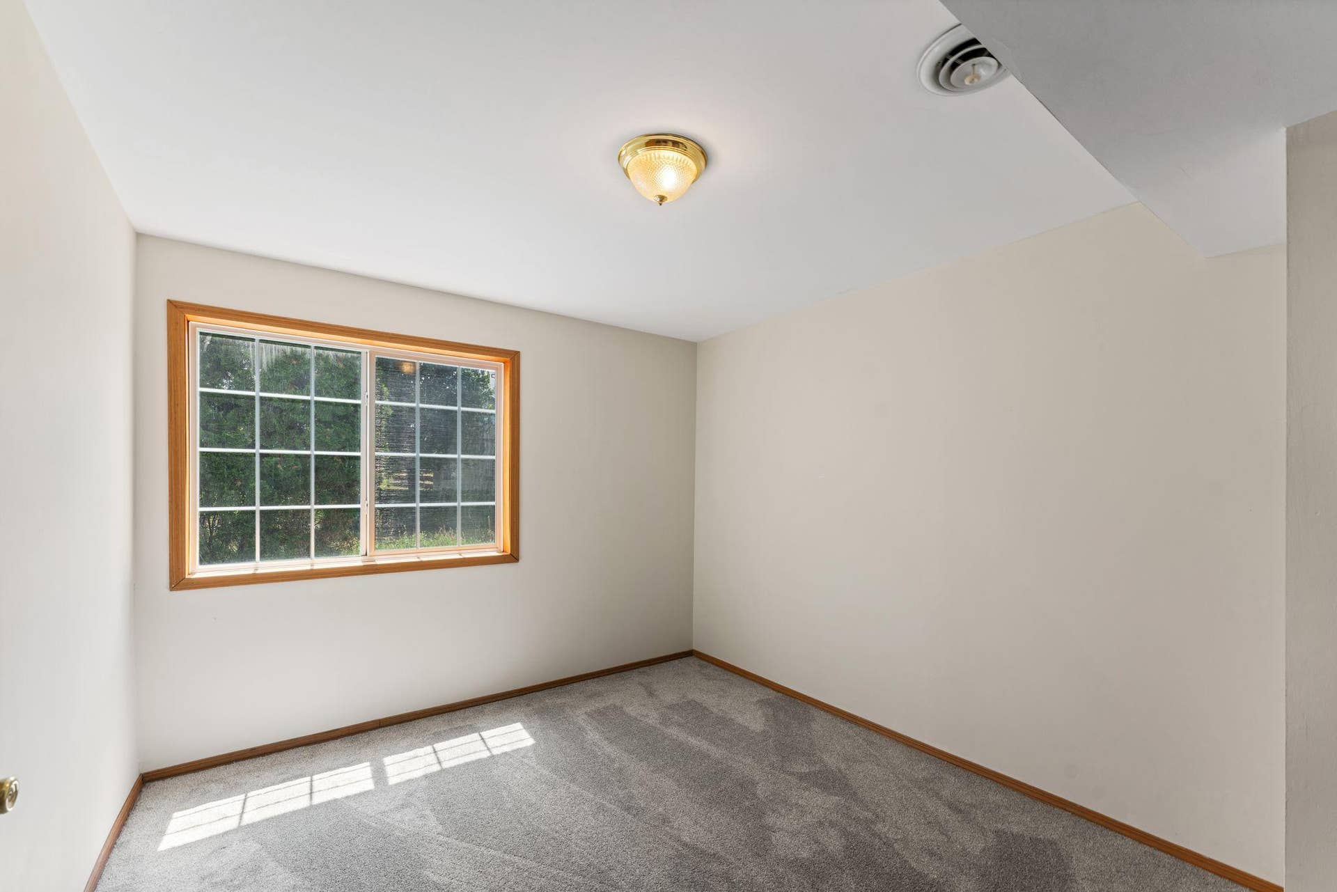 3309 Carnation Avenue N, Brooklyn Park, MN 55443 28_24.jpg