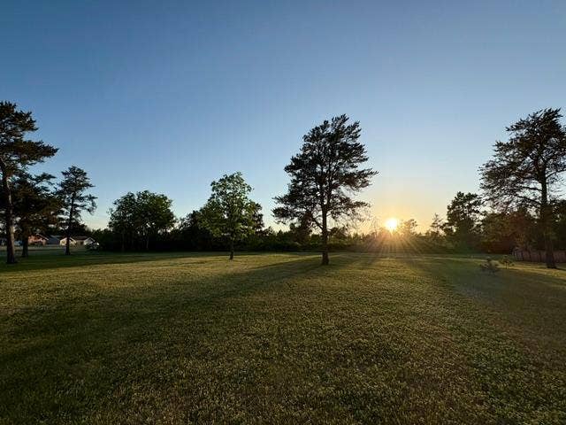 8035 Moidore Drive NW, Bemidji, MN 56601 Yard