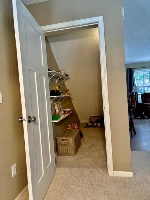 8035 Moidore Drive NW, Bemidji, MN 56601 Understairs