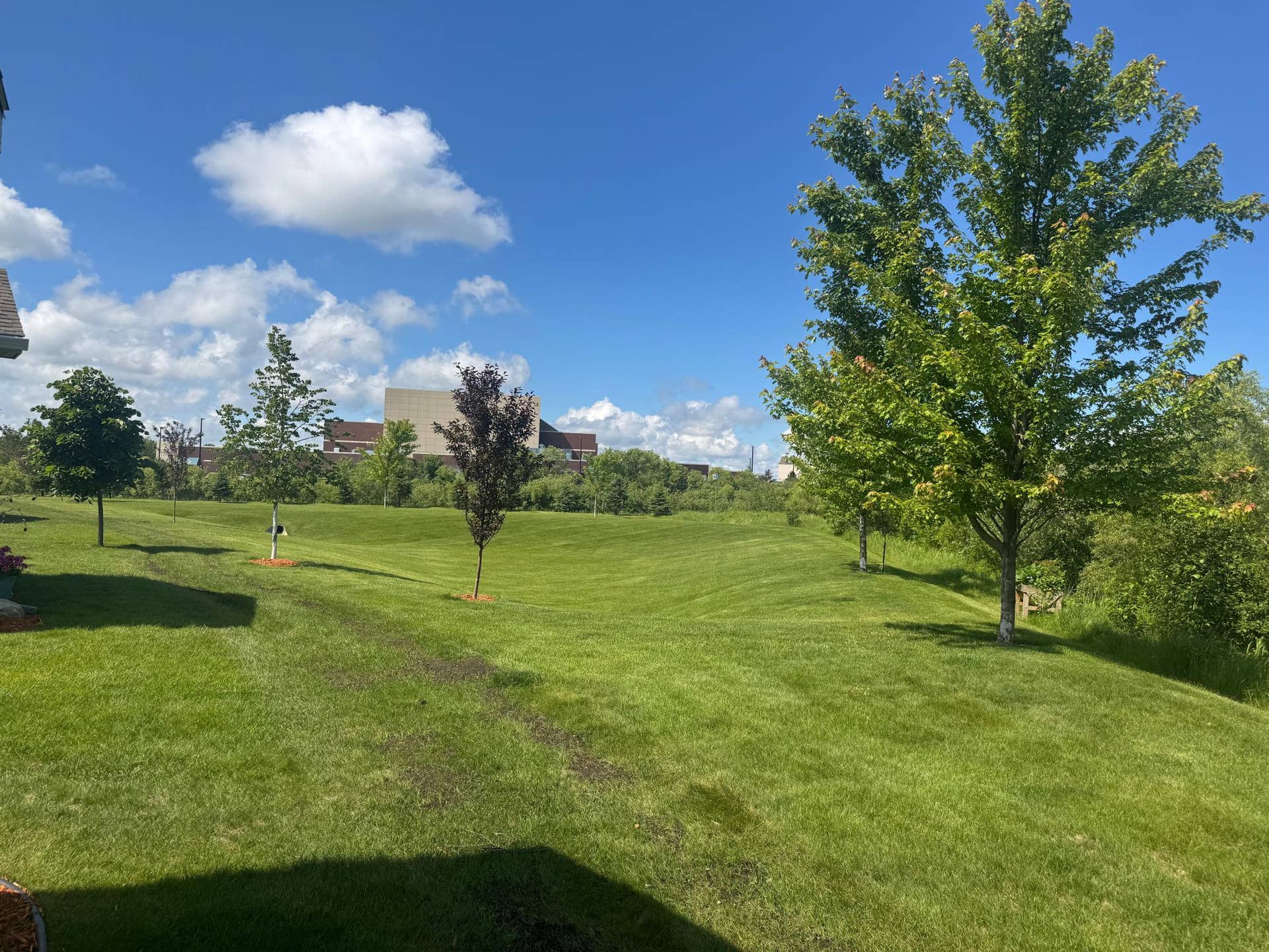 1300 Event Center Drive NE, #5, Bemidji, MN 56601 Back Yard
