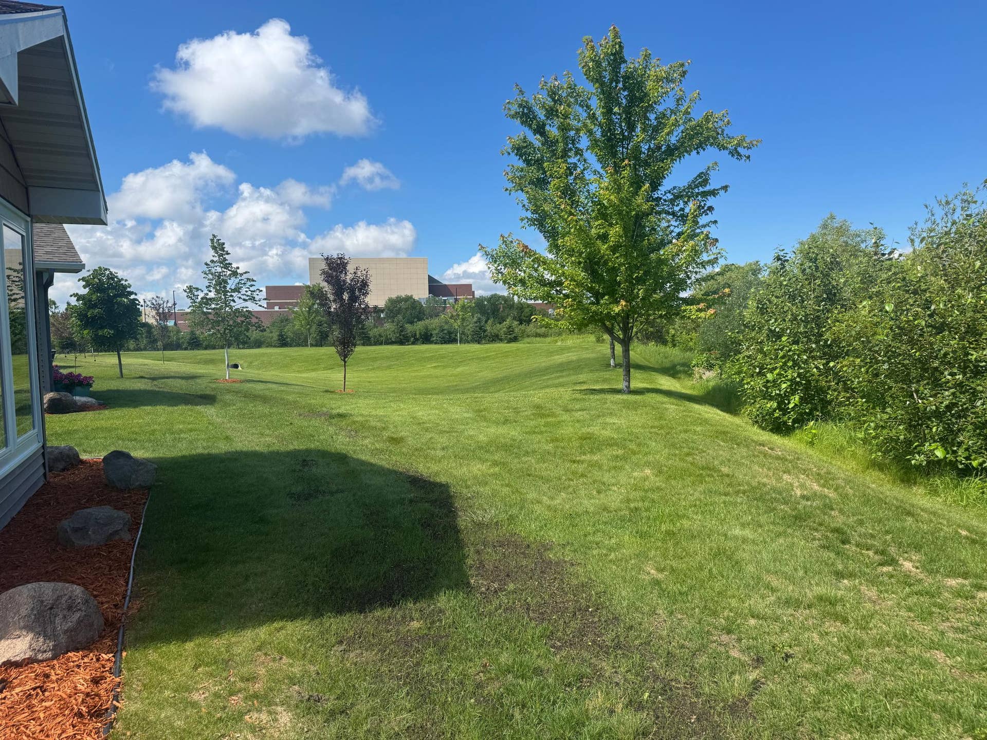 1300 Event Center Drive NE, #5, Bemidji, MN 56601 Back yard