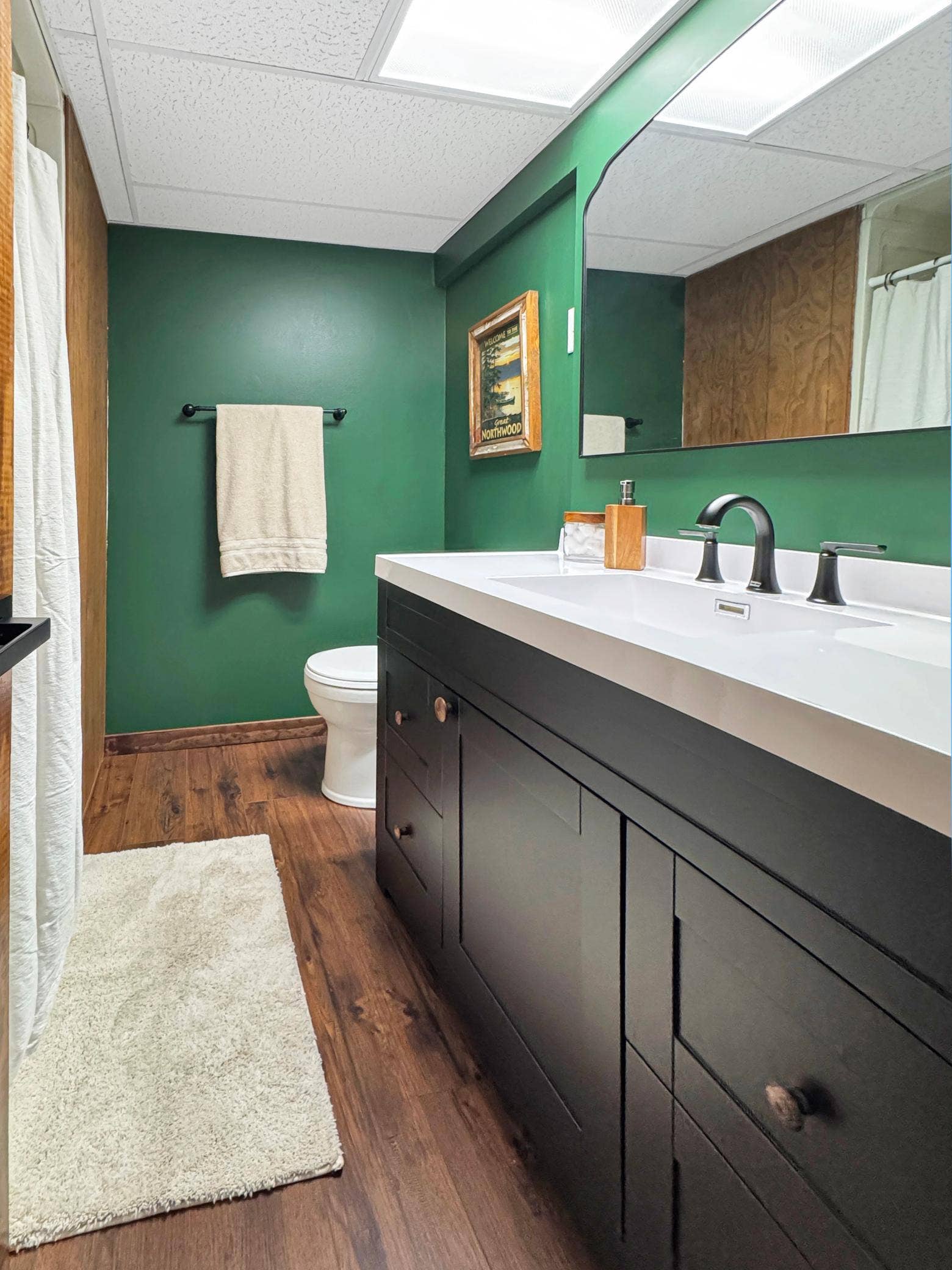 6020 Shady Lane NE, Bemidji, MN 56601 Bathroom down