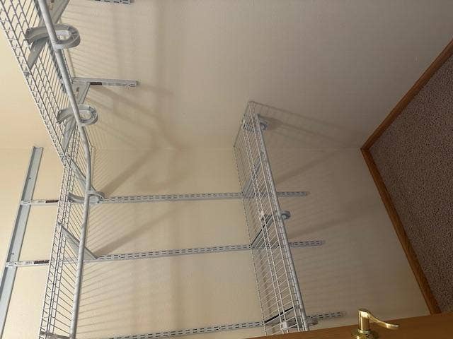 3009 Blue Spruce Lane NW, Bemidji, MN 56601 Walk-In Closet.jpeg