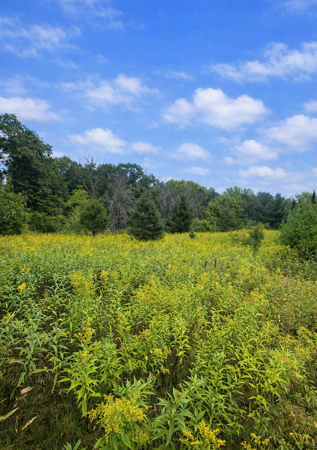 xxxx Jeffrey Boulevard, Grant, MN 55082
