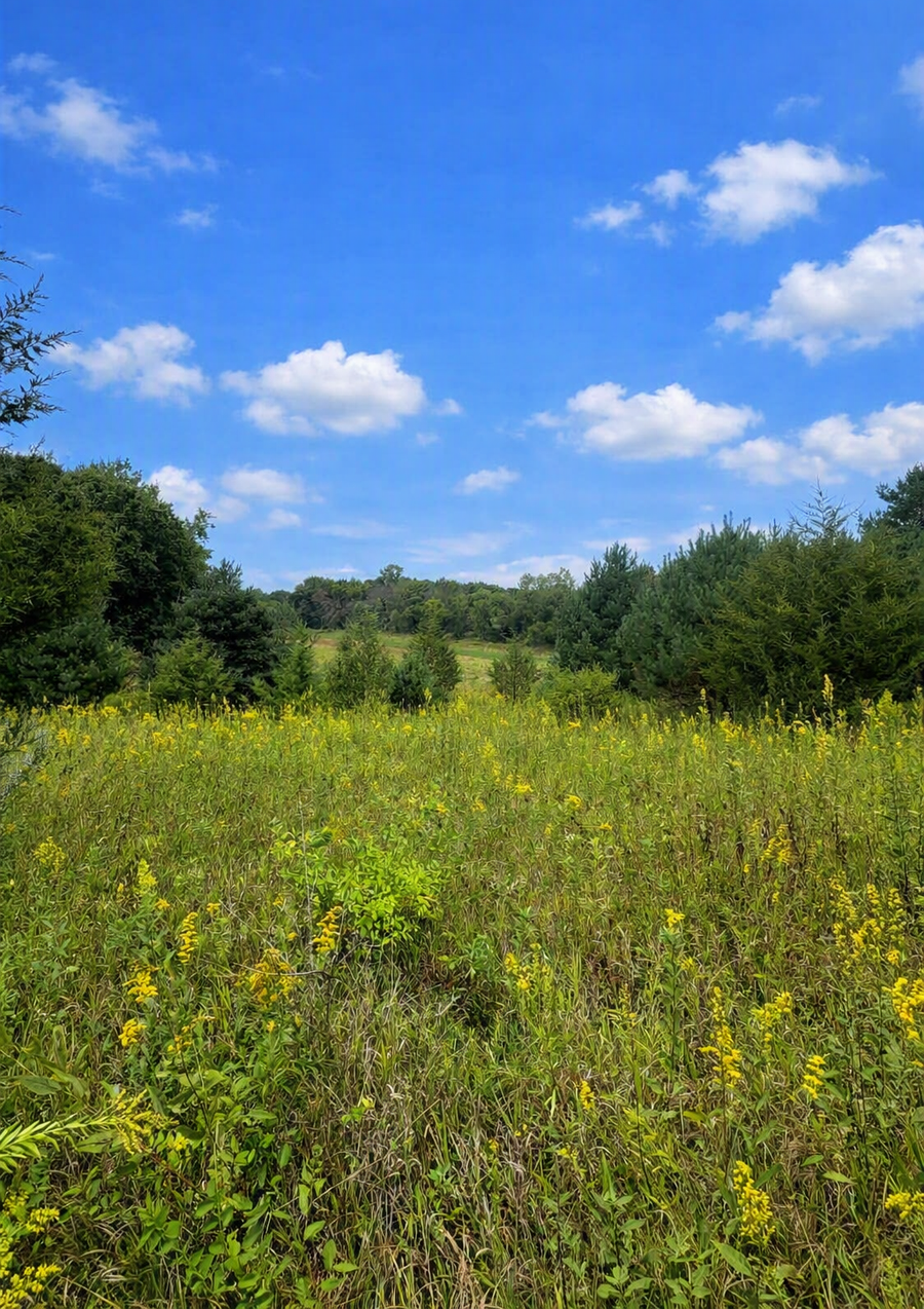 Property photo for xxxx Jeffrey Boulevard, Grant, MN