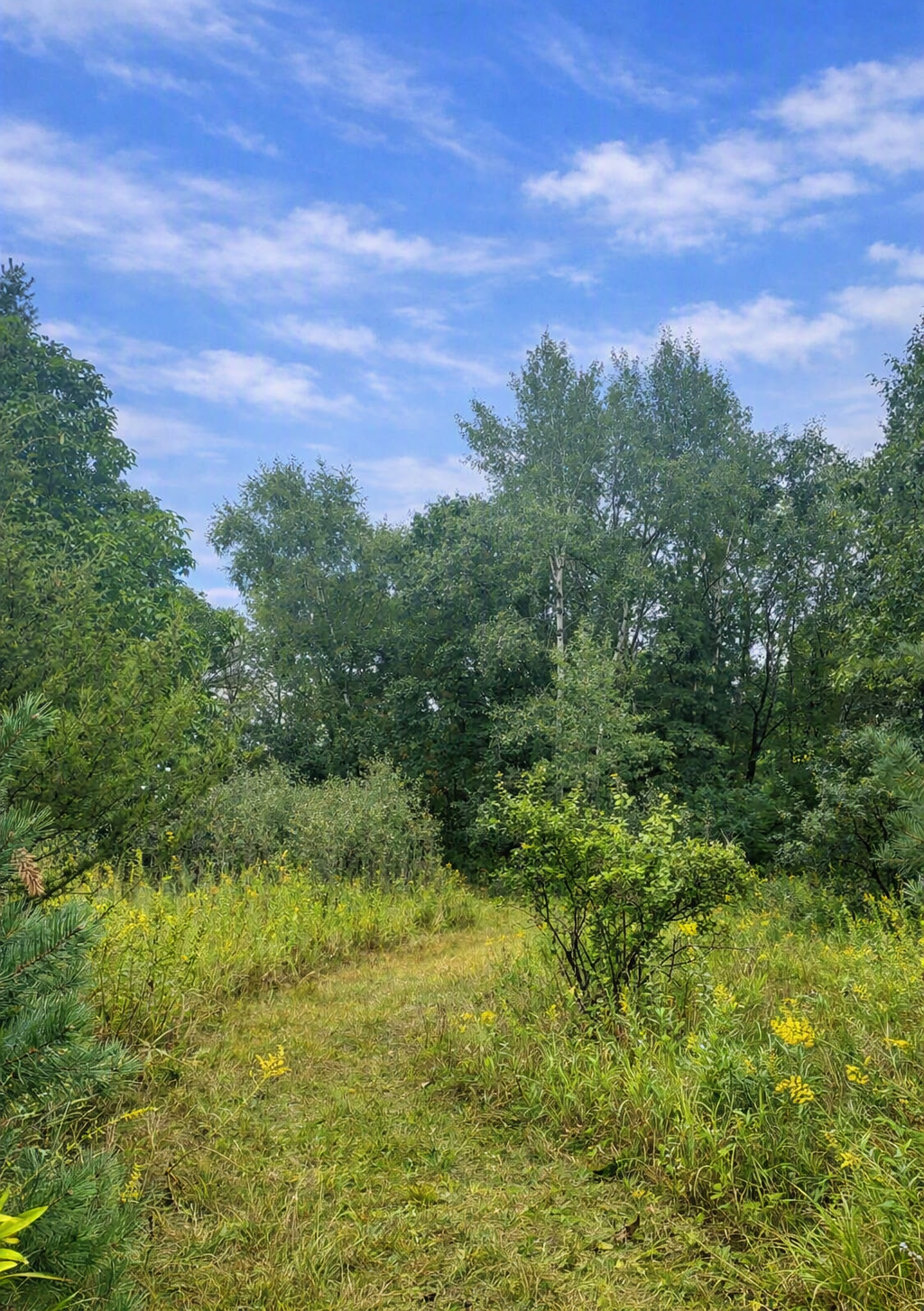 xxxx Jeffrey Boulevard, Grant, MN 55082