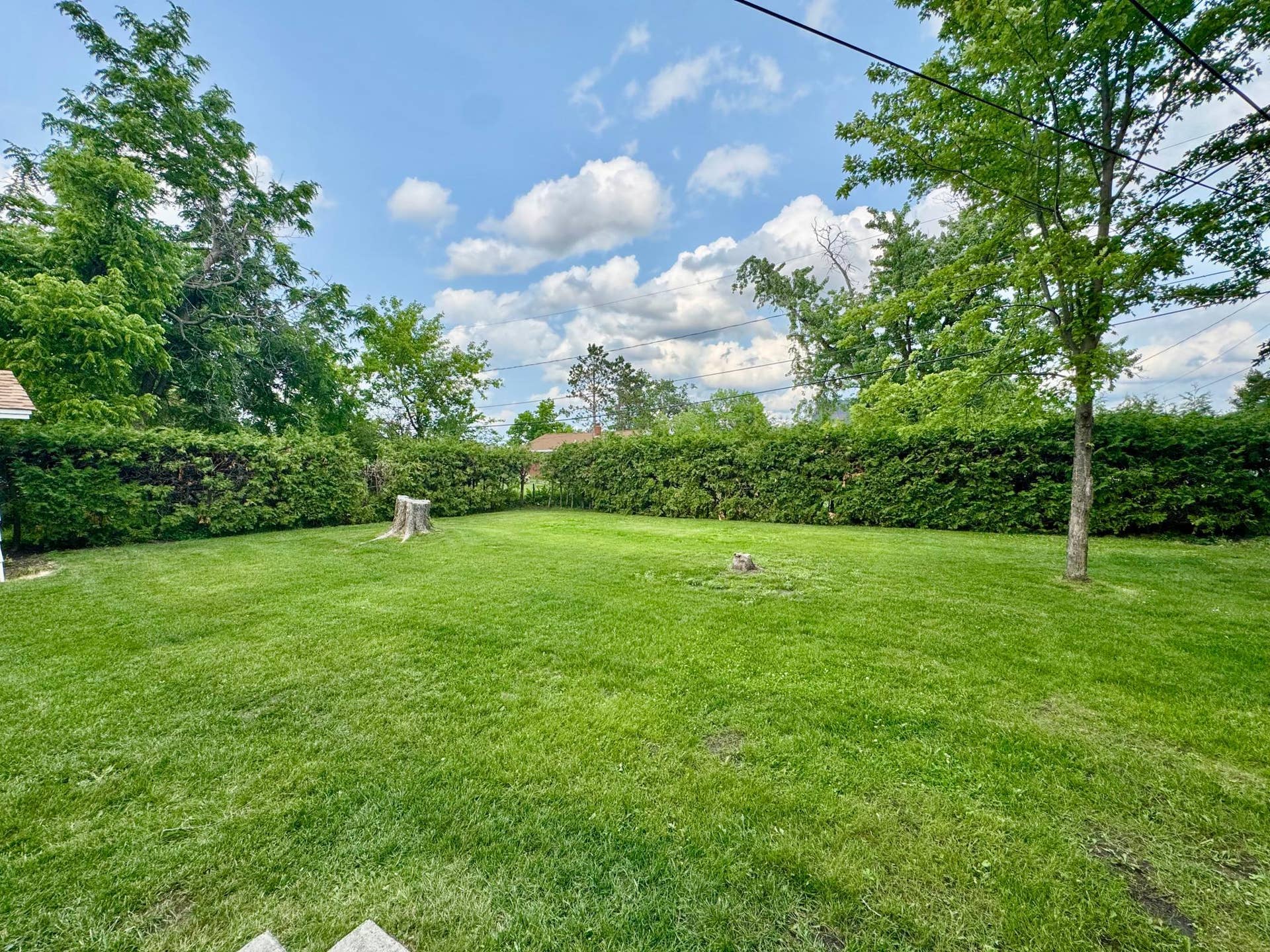 1706 Irvine Avenue NW, Bemidji, MN 56601 Backyard 2.jpeg