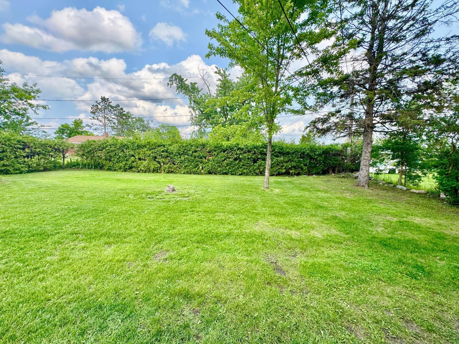 1706 Irvine Avenue NW, Bemidji, MN 56601 Backyard 1.jpeg