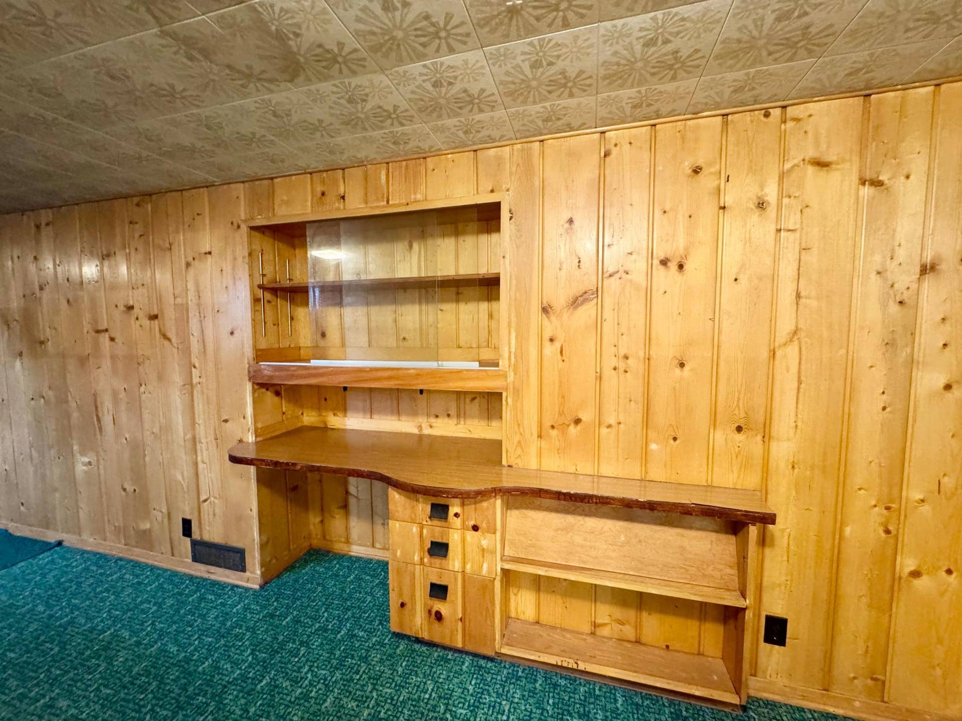 1706 Irvine Avenue NW, Bemidji, MN 56601 Basement Family Room 3.jpeg