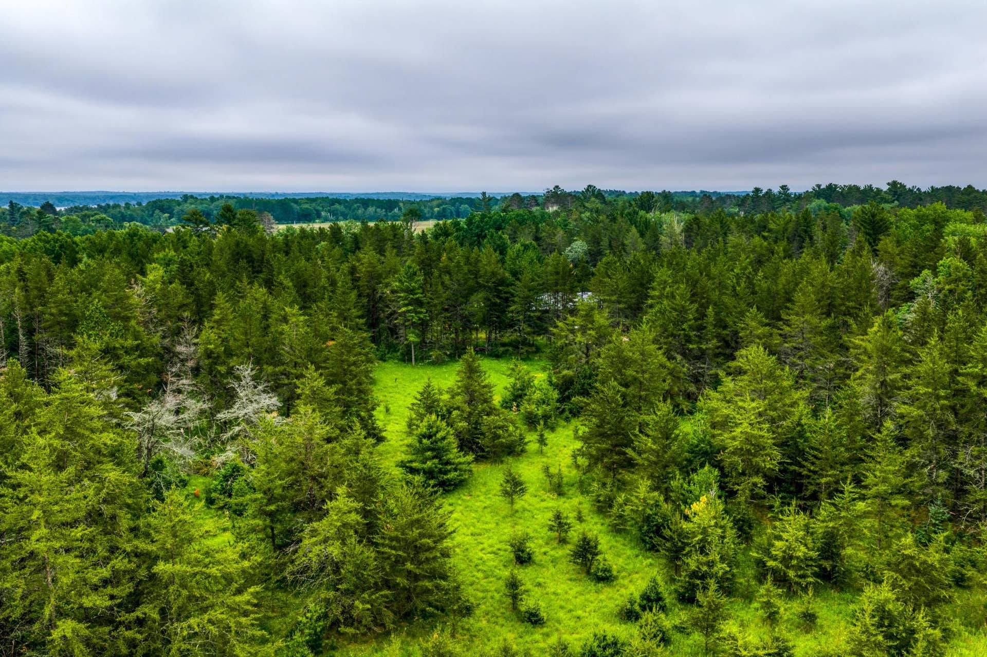 12891 Bemidji Road NE, Bemidji, MN 56601 12891 Bemidji Road NE, Bemidji, MN 56601