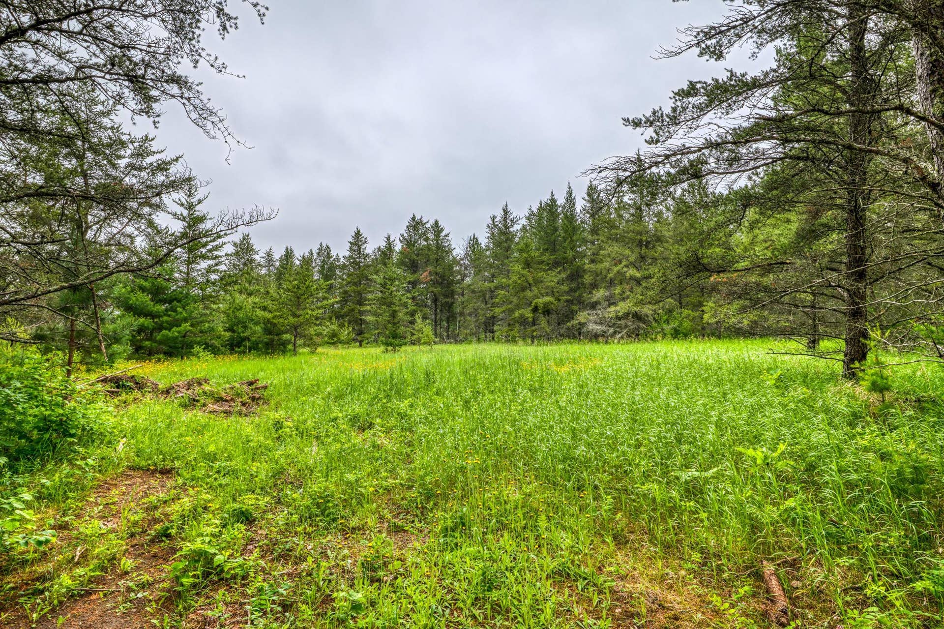 12891 Bemidji Road NE, Bemidji, MN 56601 12891 Bemidji Road NE, Bemidji, MN 56601