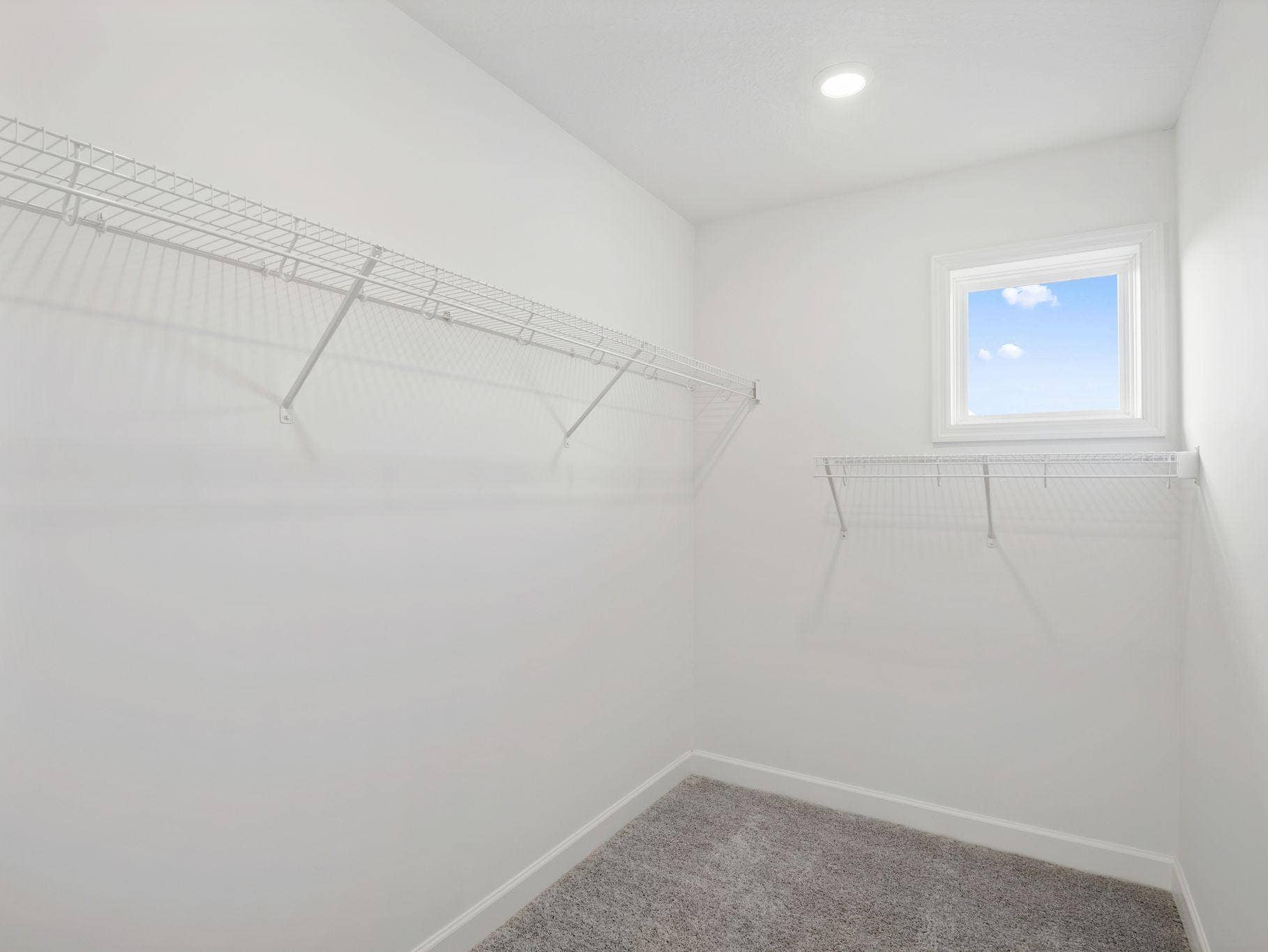 8656 Periwinkle Boulevard, Woodbury, MN 55129 The walk-in closet offers ample space and storage