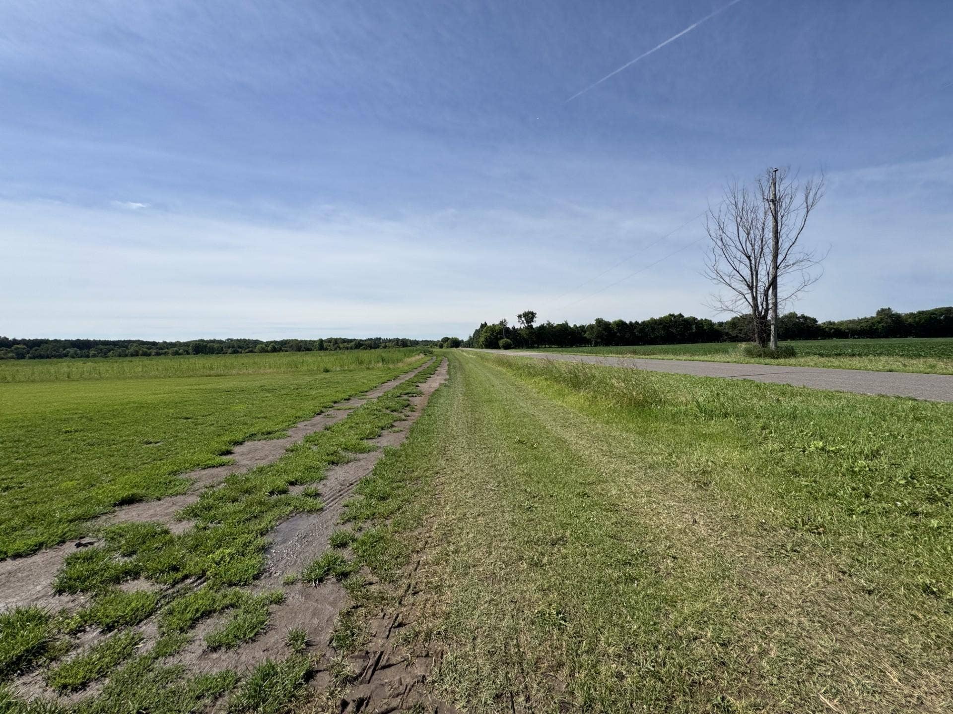 Xxxx - Lot C Oakgreen Ave S, Afton, MN 55001 Mogren Farms_Lot C
