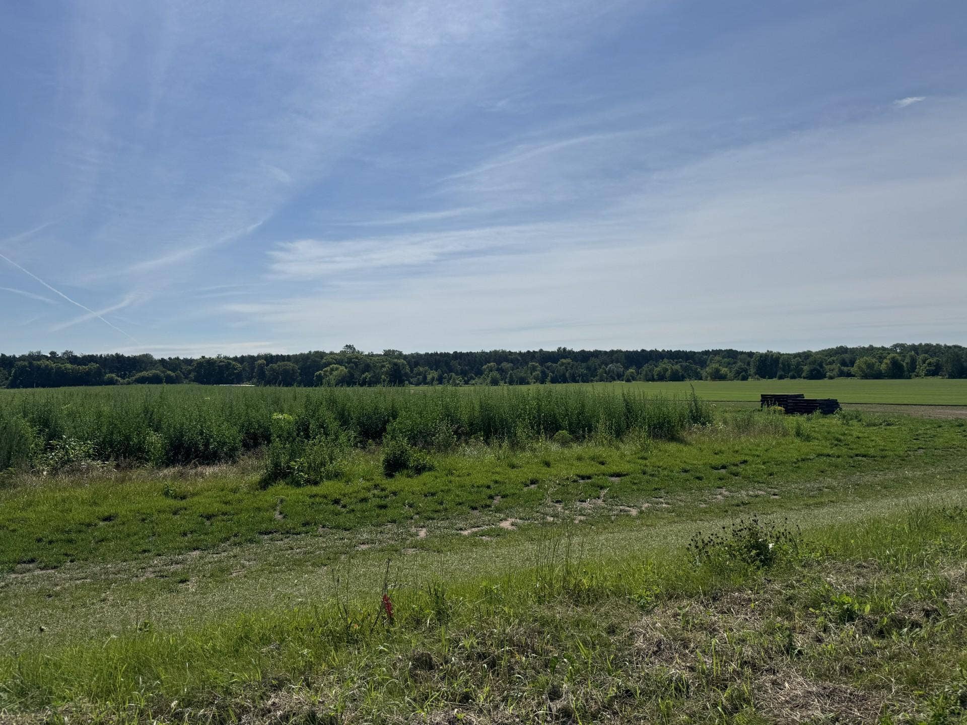 Xxxx - Lot C Oakgreen Ave S, Afton, MN 55001 Mogren Farms_Lot C