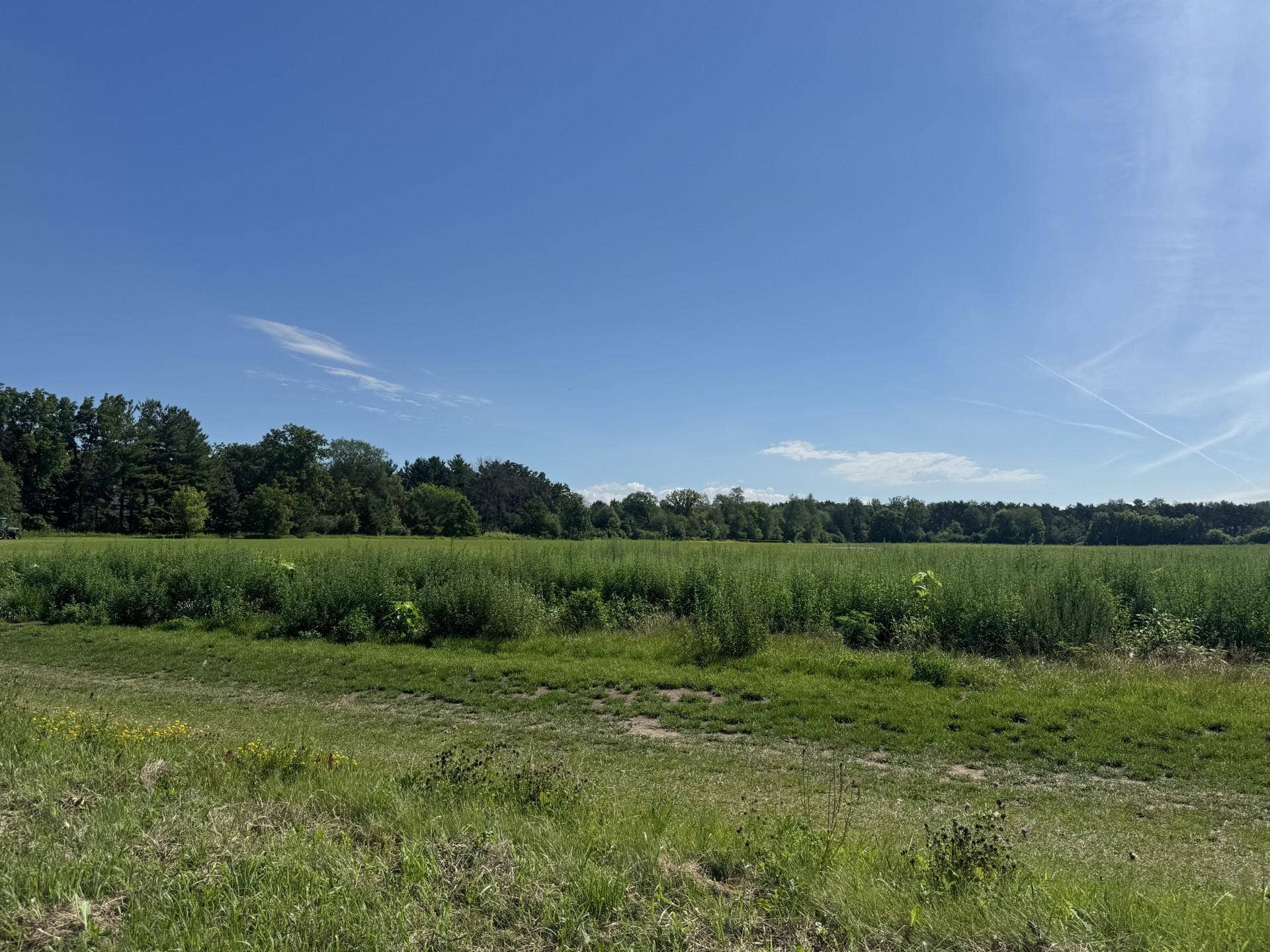 Xxxx - Lot C Oakgreen Ave S, Afton, MN 55001 Mogren Farms_Lot C
