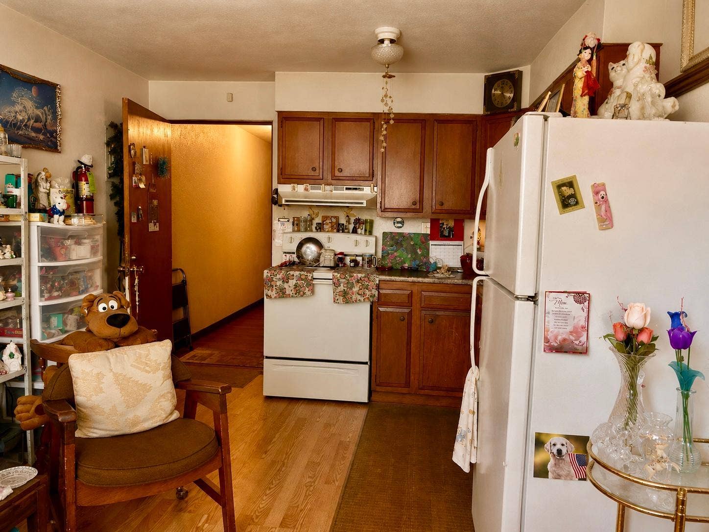 217 & 219 3rd Street NW, Bemidji, MN 56601 9484576B-29A3-4C80-98D2-CE0F54EADCE9.jpg