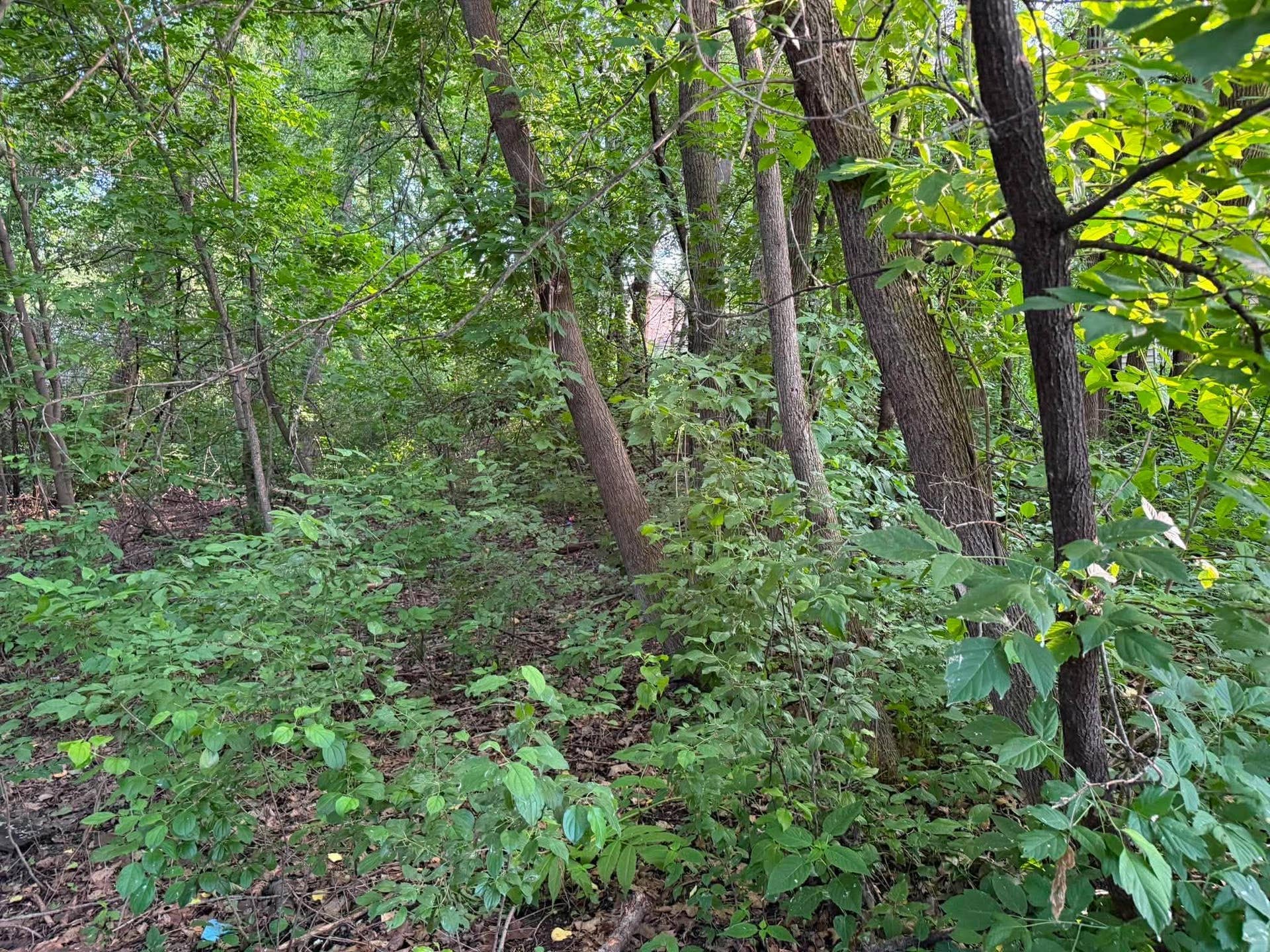 TBD 26TH Street N, Oakdale, MN 55128 737561021_1316013043849059_2656366324915570856_n.jpg