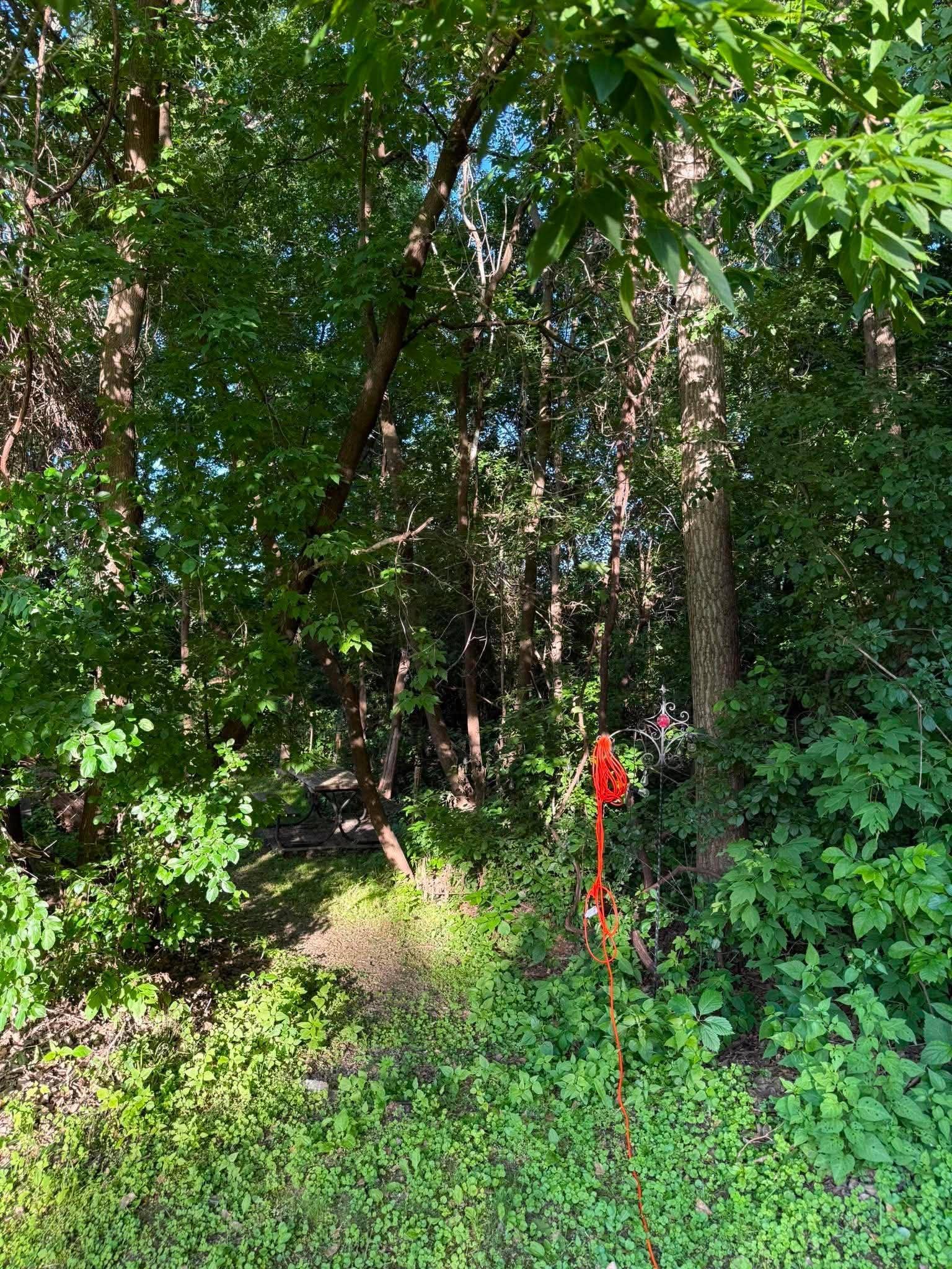 TBD 26TH Street N, Oakdale, MN 55128 739066240_2080950049965063_2475093521560824532_n.jpg