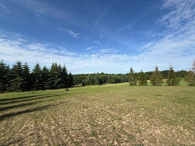 1320 Whiting Road NW, #36, Bemidji, MN 56601 IMG_9048.JPG