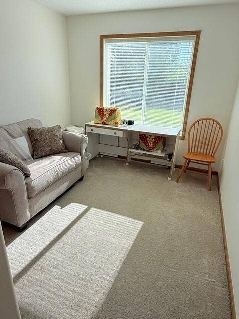 3208 Park Avenue NW, Bemidji, MN 56601 10.jpg