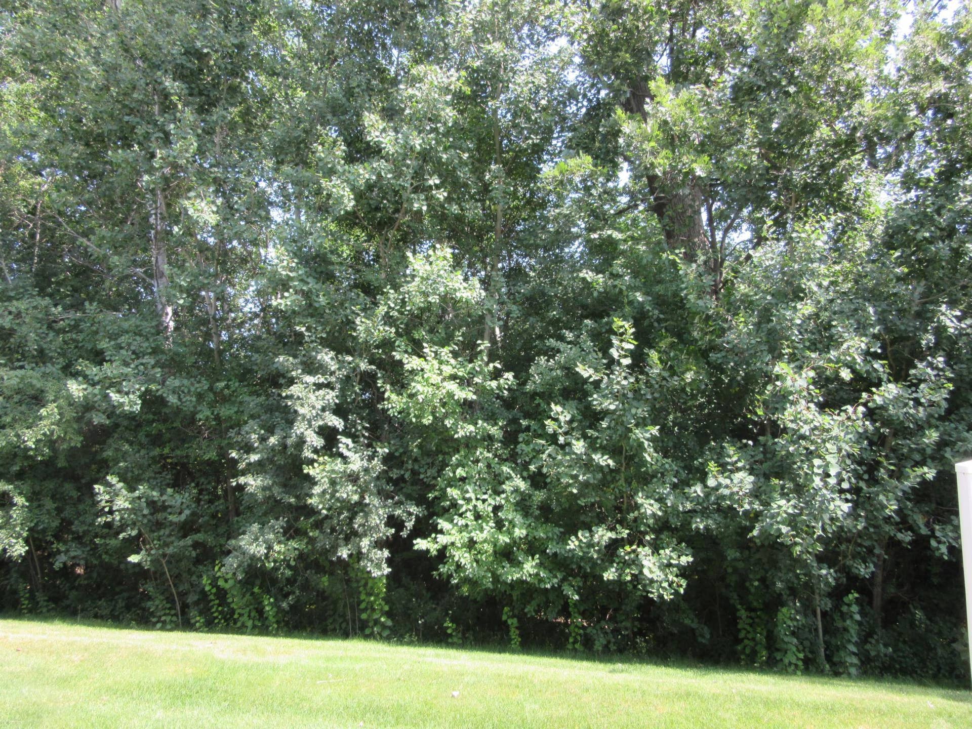5675 200th Street W, #703, Farmington, MN 55024 IMG_8210.JPG