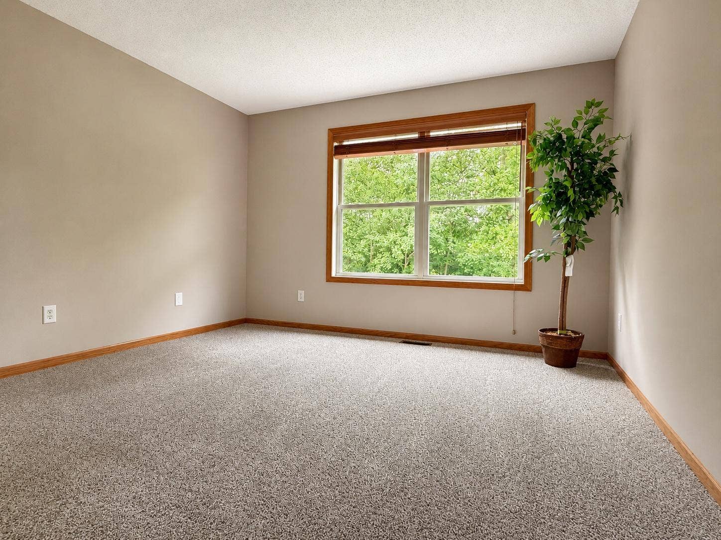 5675 200th Street W, #703, Farmington, MN 55024 27.jpg