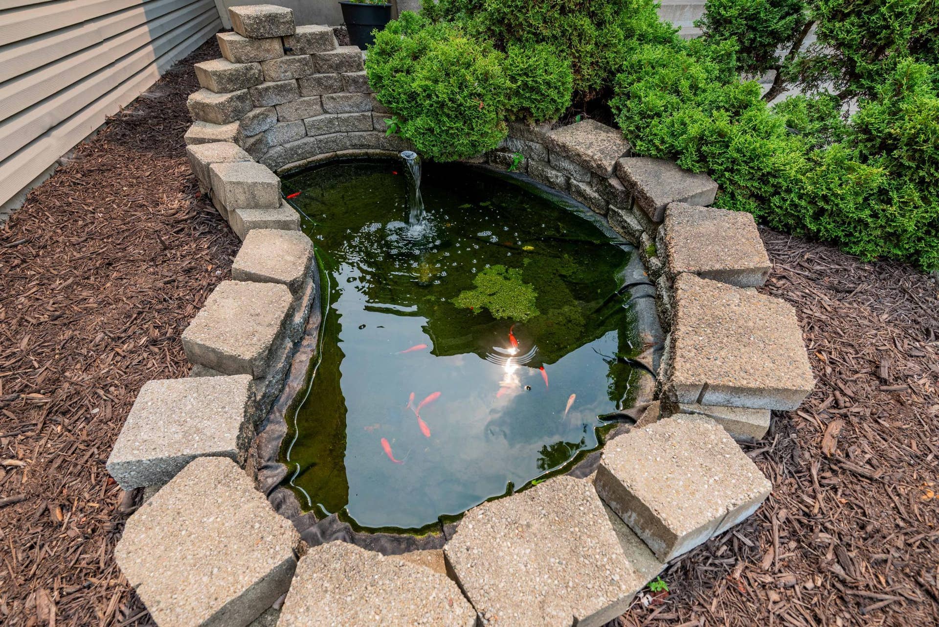 3488 Midland Court, White Bear Lake, MN 55110 3488 Midland Court, White Bear Lake, MN 55110