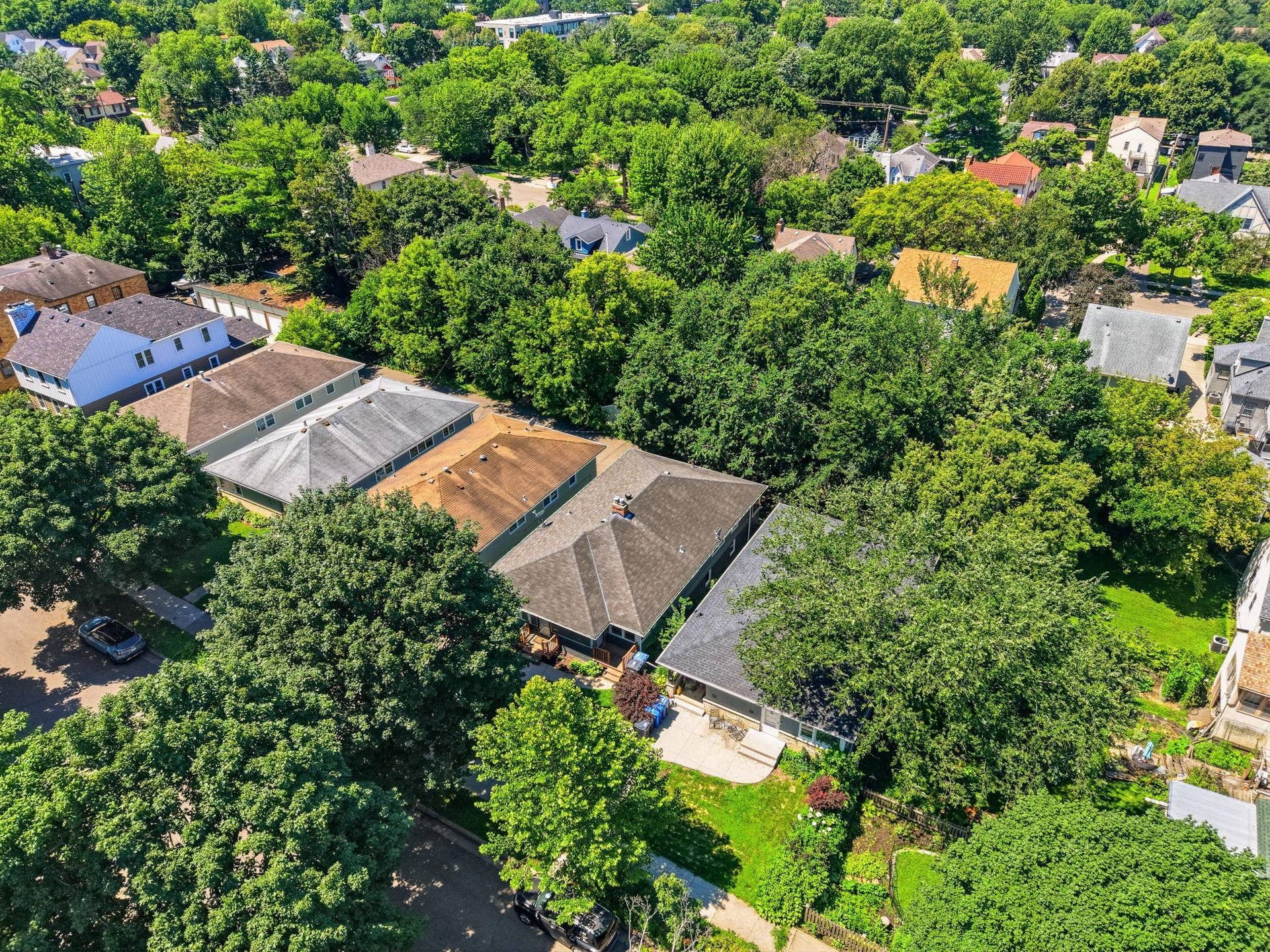 Linden Hills