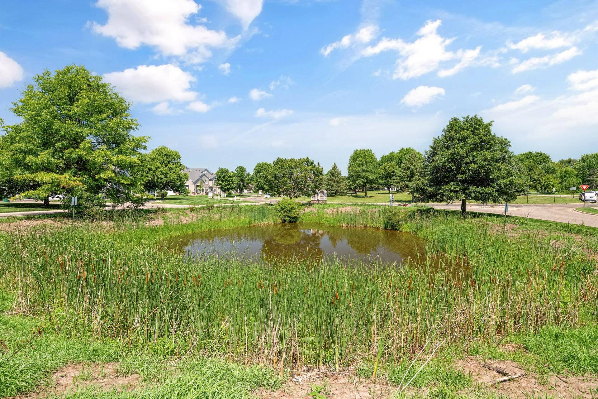 3867 Abercrombie Lane, Stillwater, MN 55082 Green Space with pond.