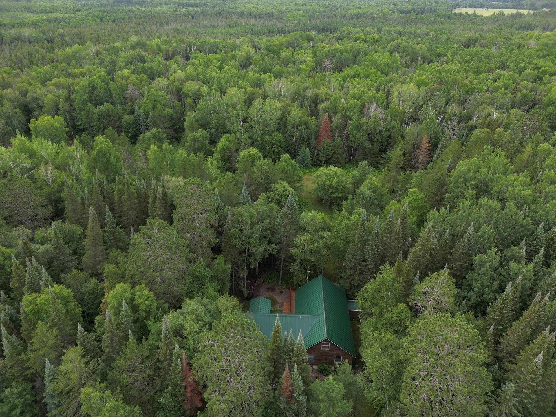 14085 Snapping Turtle Court NE, Bemidji, MN 56601 DJI_0305.JPG