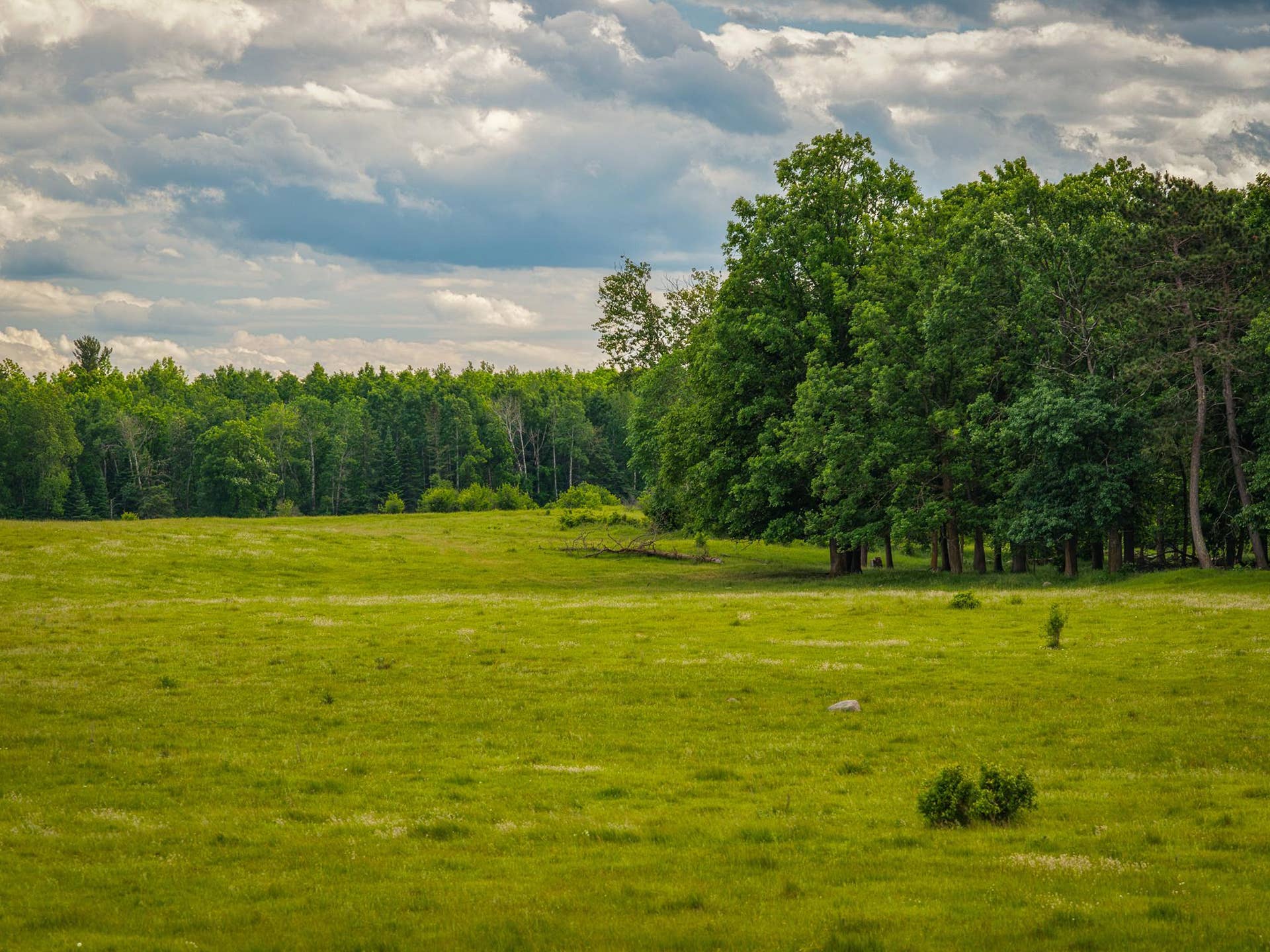 320th 320th, Shevlin, MN 56676 AW_ShevlinAcreage-