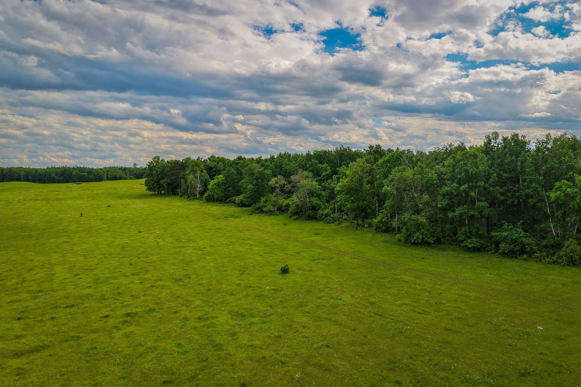 320th 320th, Shevlin, MN 56676 AW_ShevlinAcreage-