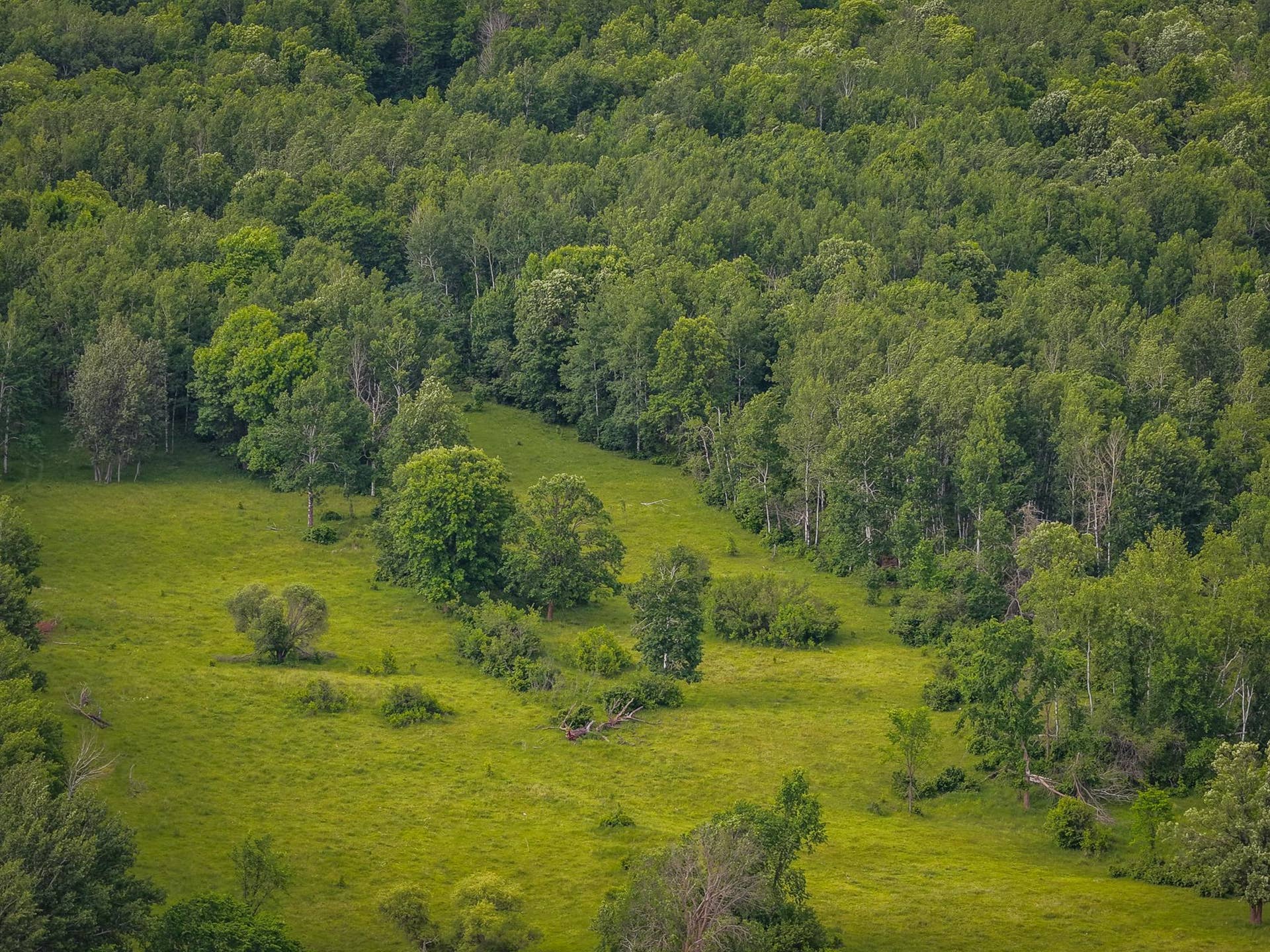 320th 320th, Shevlin, MN 56676 AW_ShevlinAcreage-