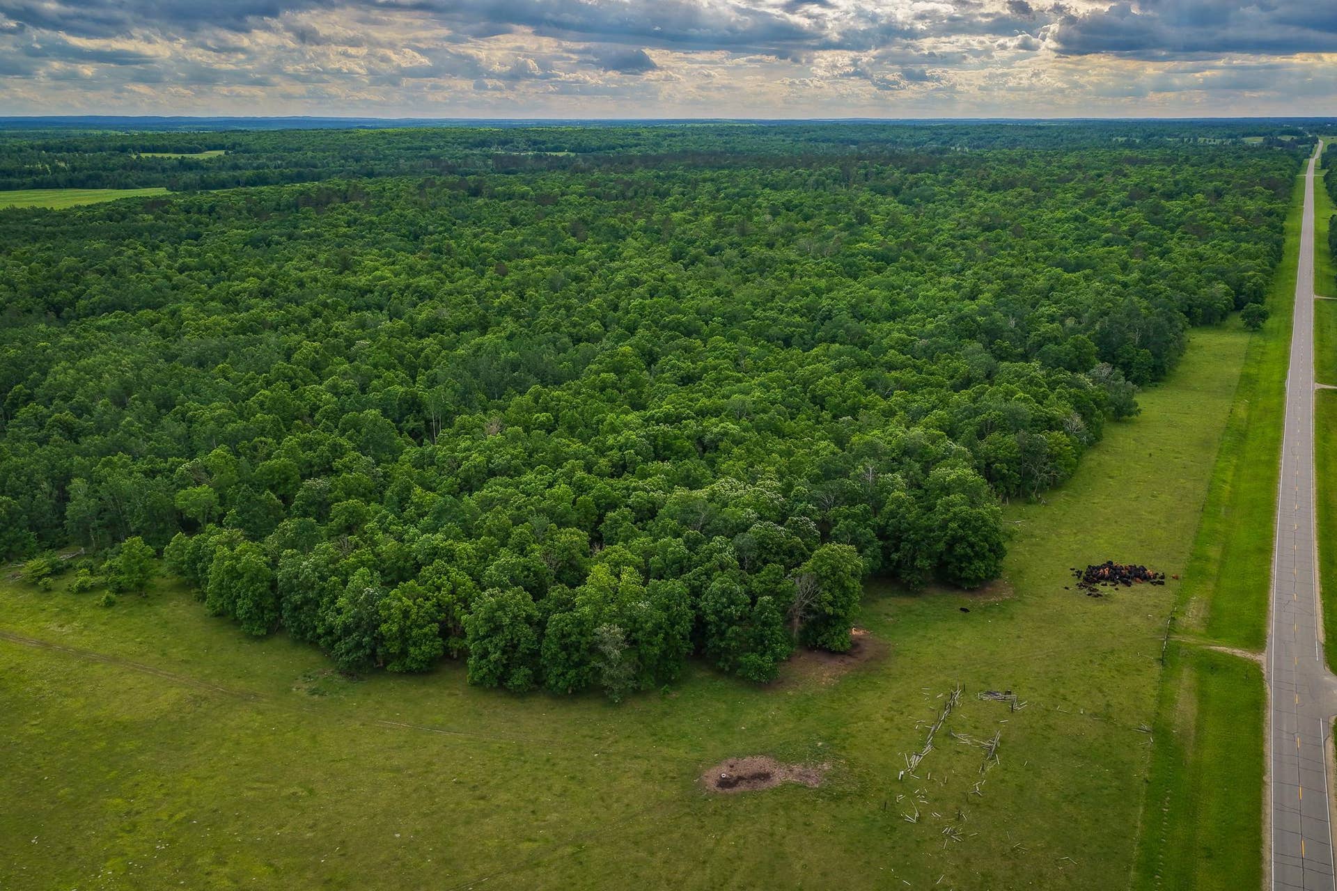 320th 320th, Shevlin, MN 56676 AW_ShevlinAcreage-