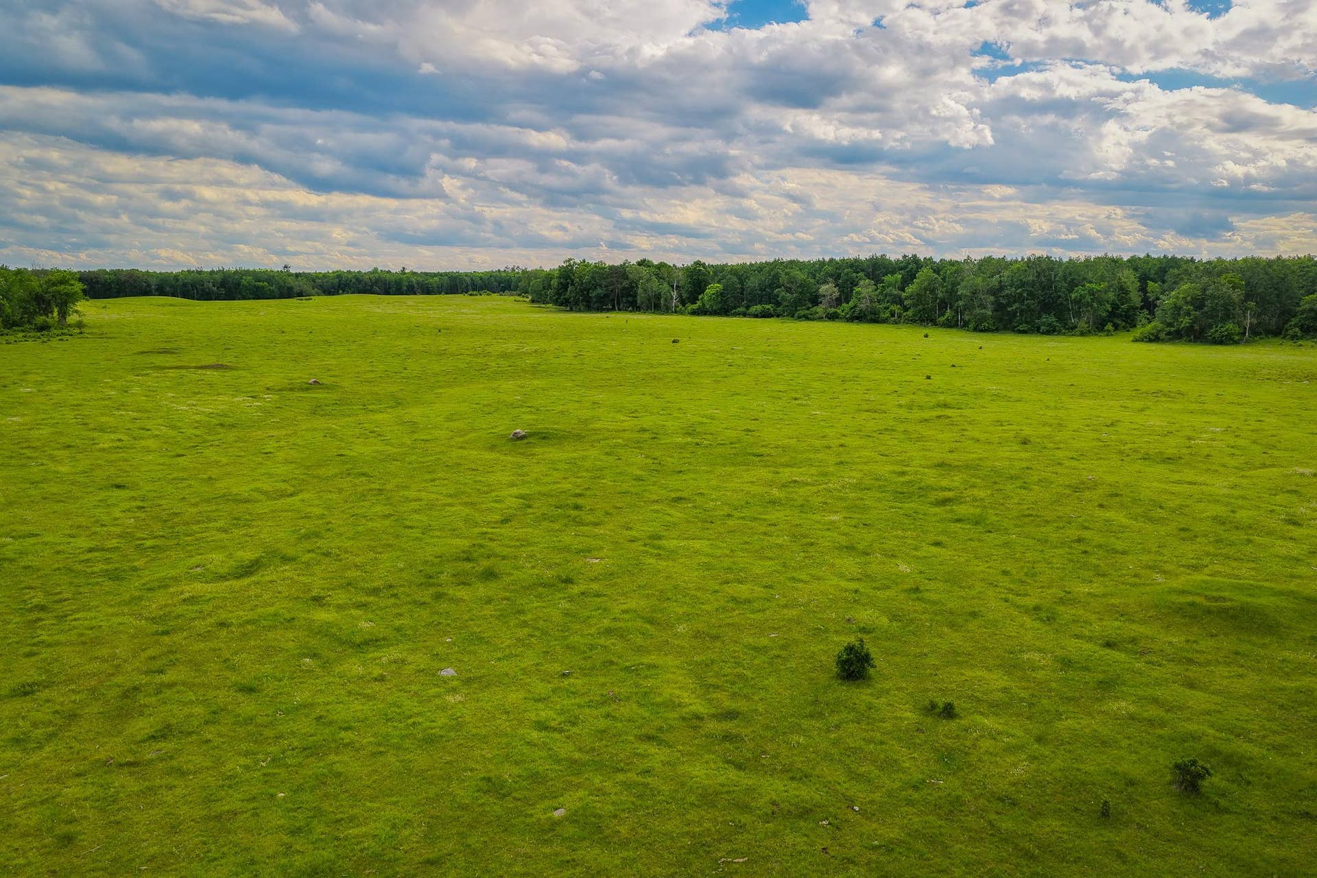 320th 320th, Shevlin, MN 56676 AW_ShevlinAcreage-