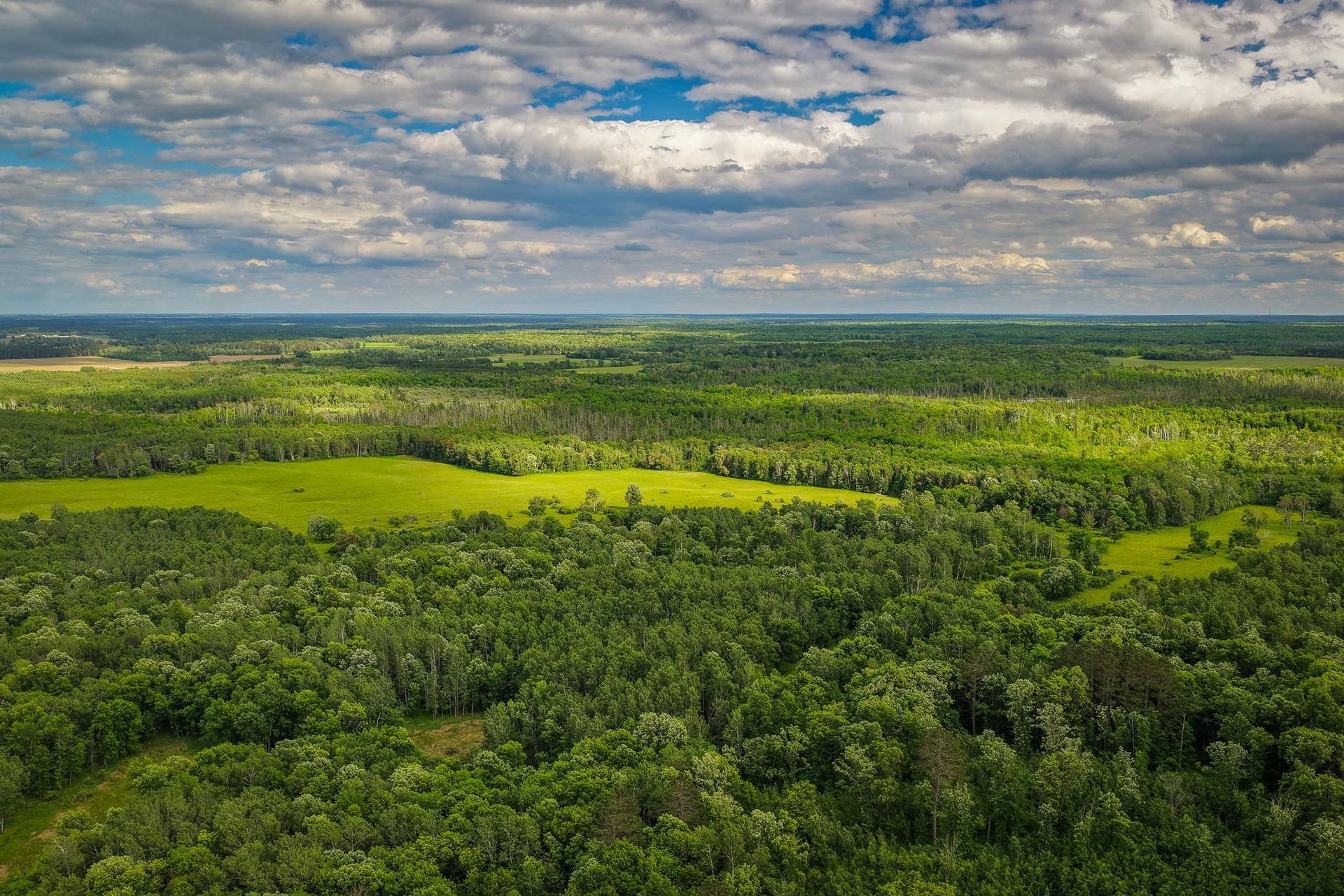 320th 320th, Shevlin, MN 56676 AW_ShevlinAcreage-