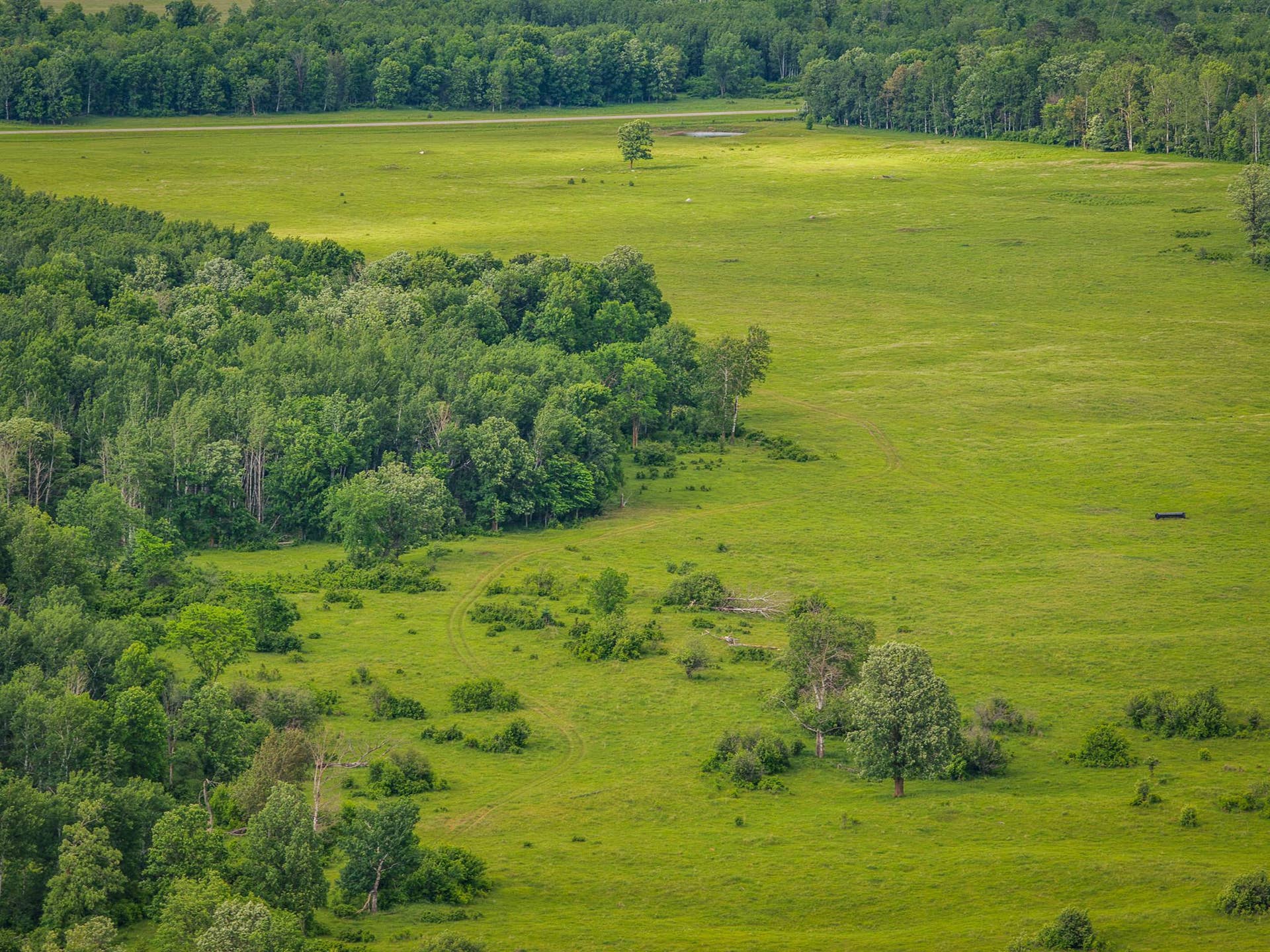320th 320th, Shevlin, MN 56676 AW_ShevlinAcreage-